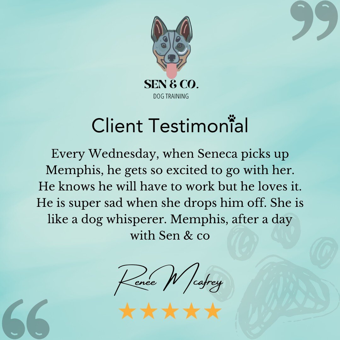 Thank you very much, Renee! I truly appreciate it! 💞🐾

#tuesdaytestimonials #clientfeedback #dogtrainers #tilburyontario