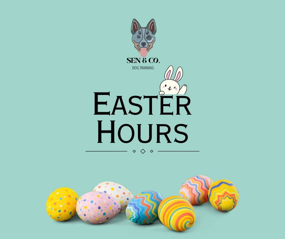 Can you believe it's already Easter? Time flies! 

We will be closed this Friday for Good Friday. If you need anything, message us here, and we will get back to you ASAP. If you'd like more information on our programs, visit us at www.senandco.ca. 🐰