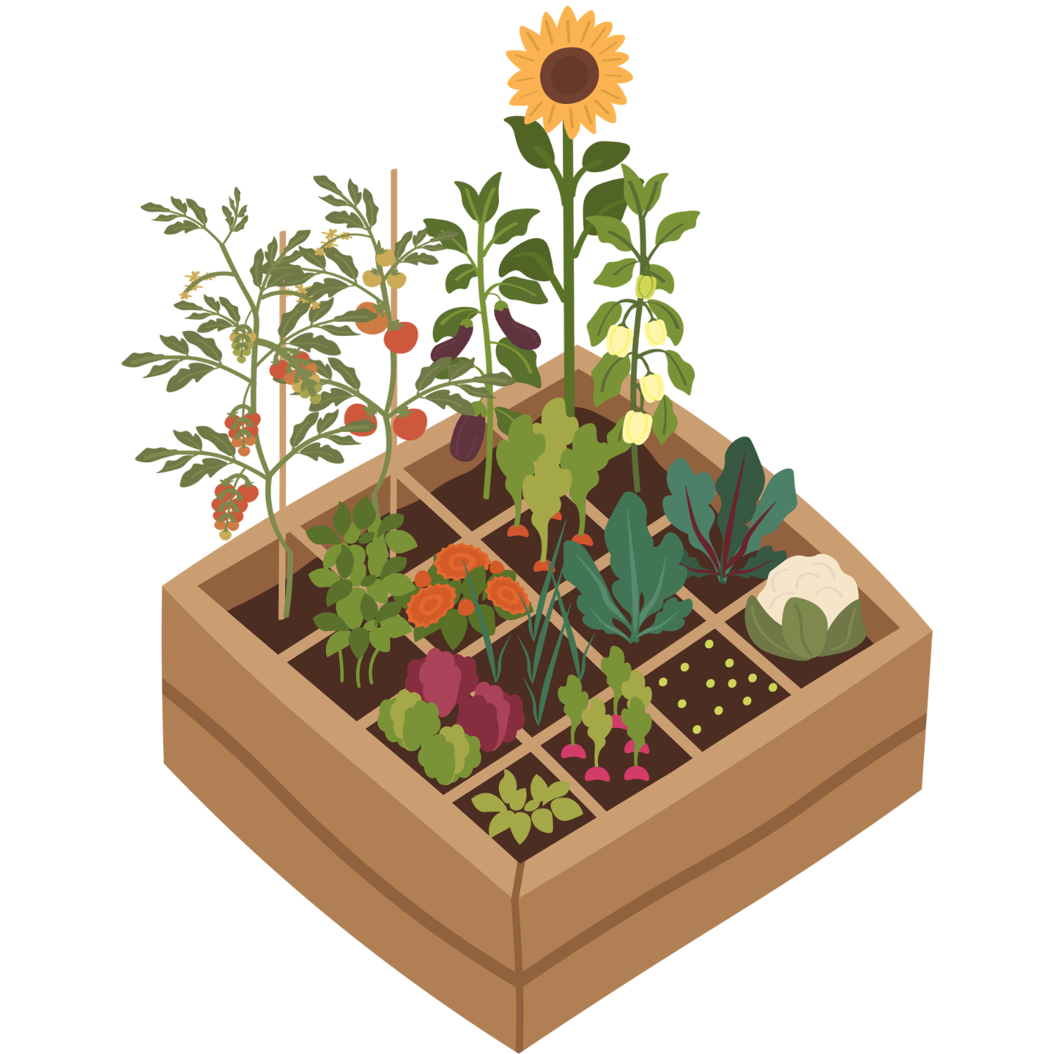 Illustration of a garden box with veggies and flowers