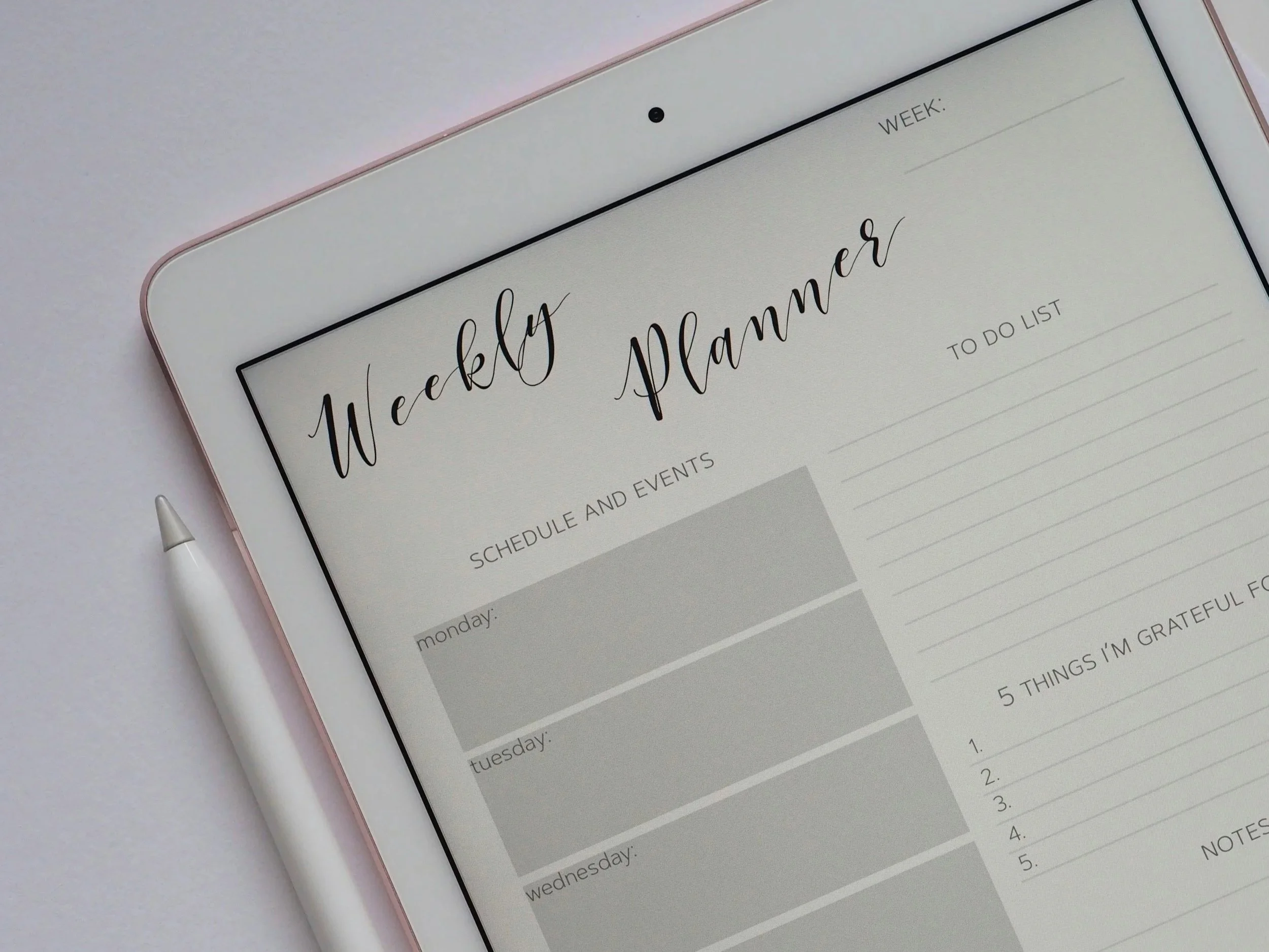 Geometric drawing of an outline square with sections divided by vertical, horizontal, and circle lines.