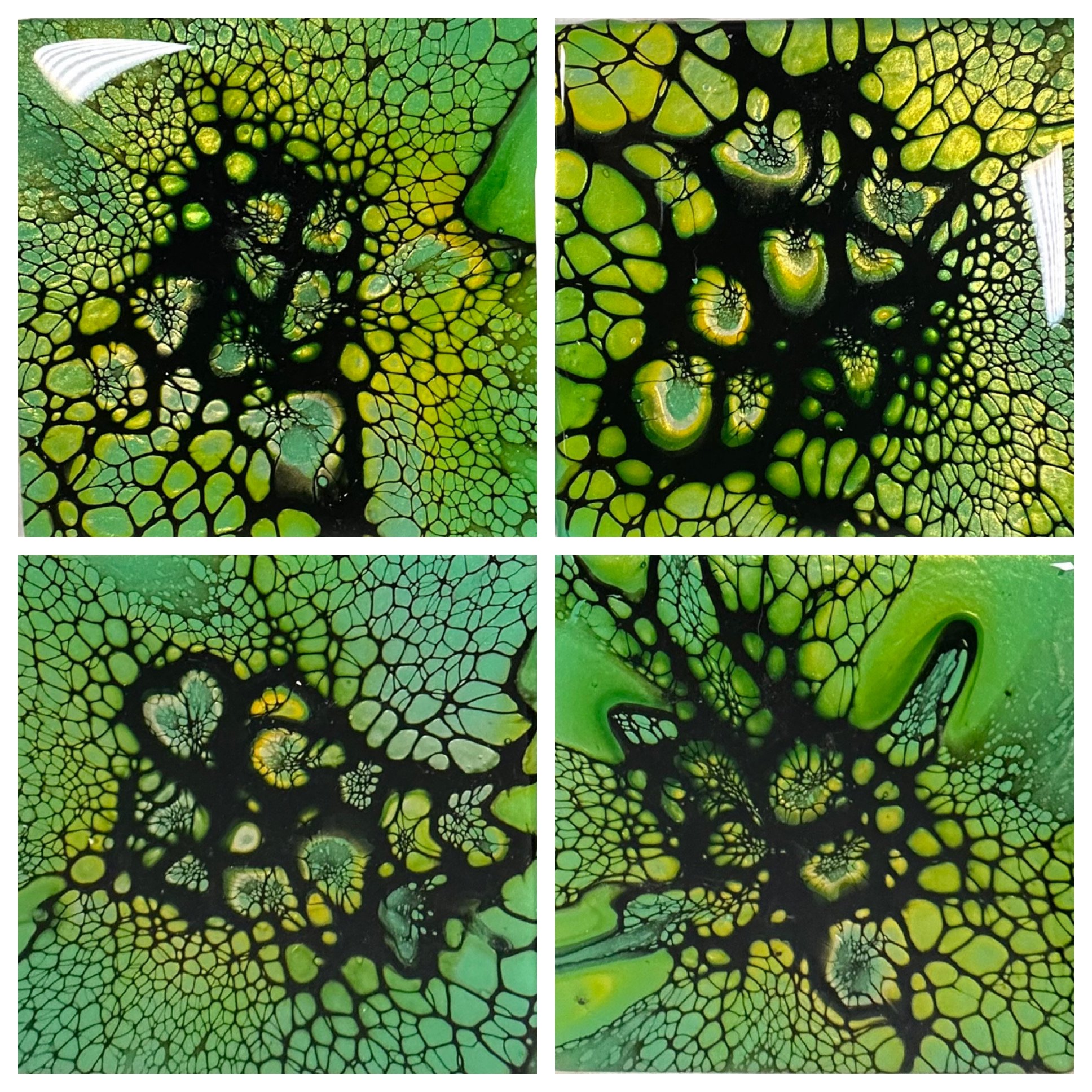 Coasters Set of 4