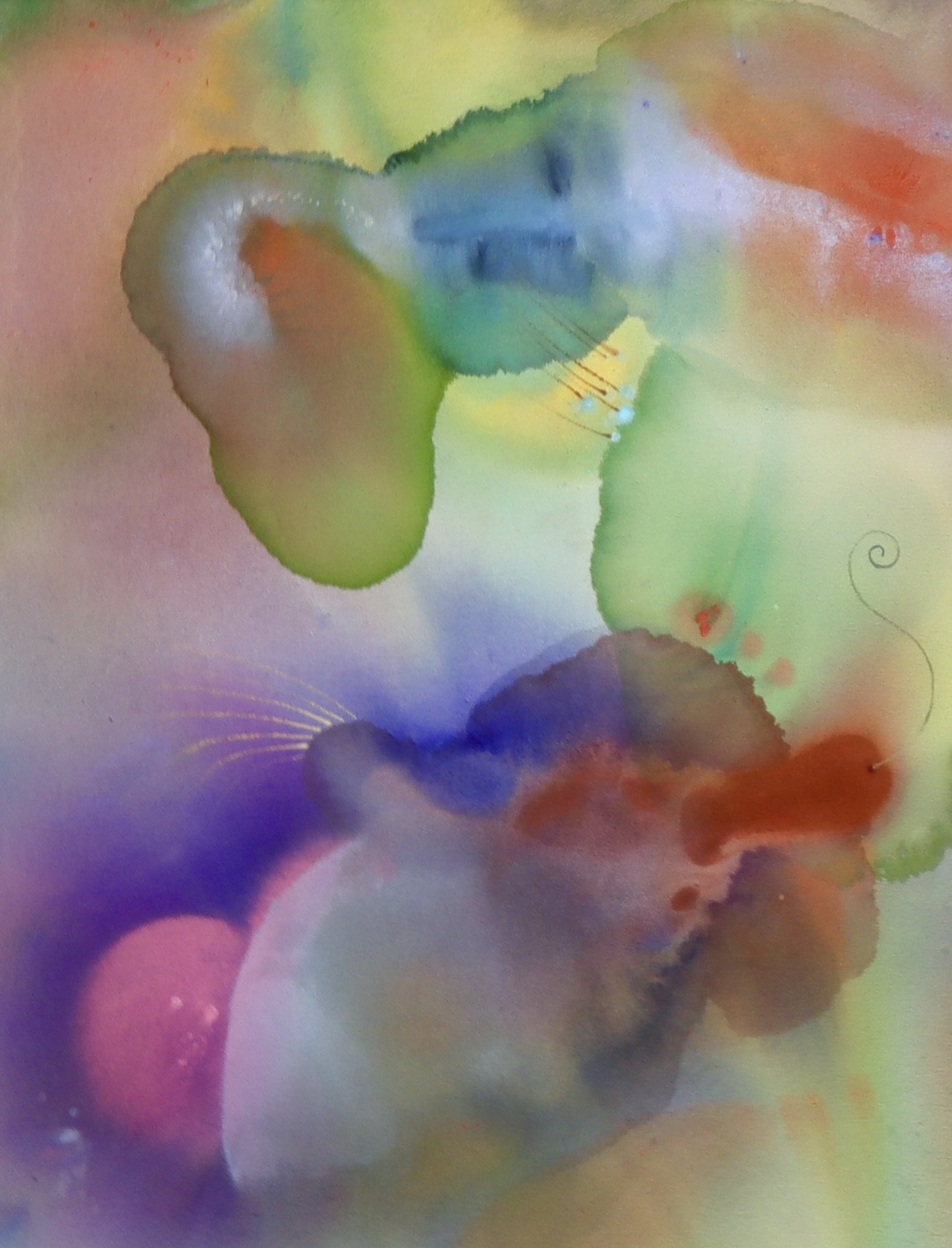 AF0B6994-878B-4D19-97A6-832668BE3C09_1_201_a.jpeg