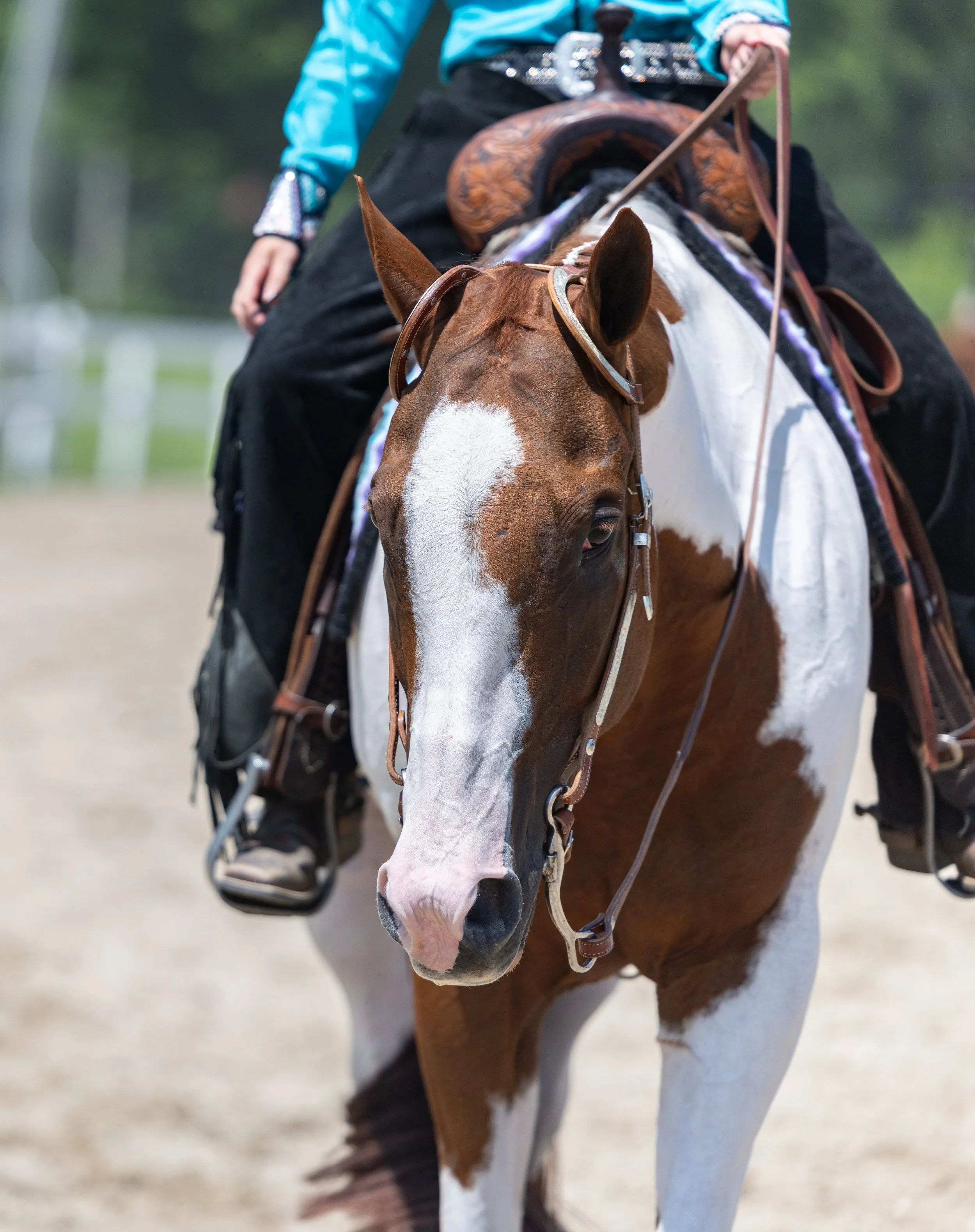 Anastasia and Riley Fair 2025-91.jpg
