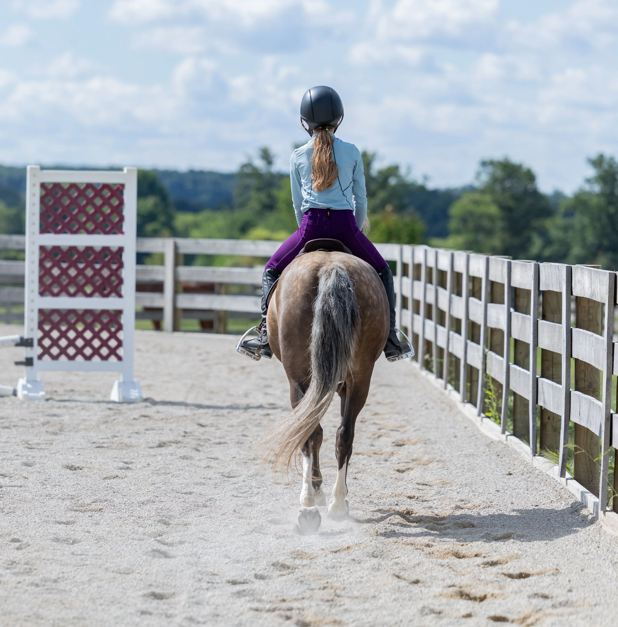 Kingswood Sporthorses August 2025-12.jpg