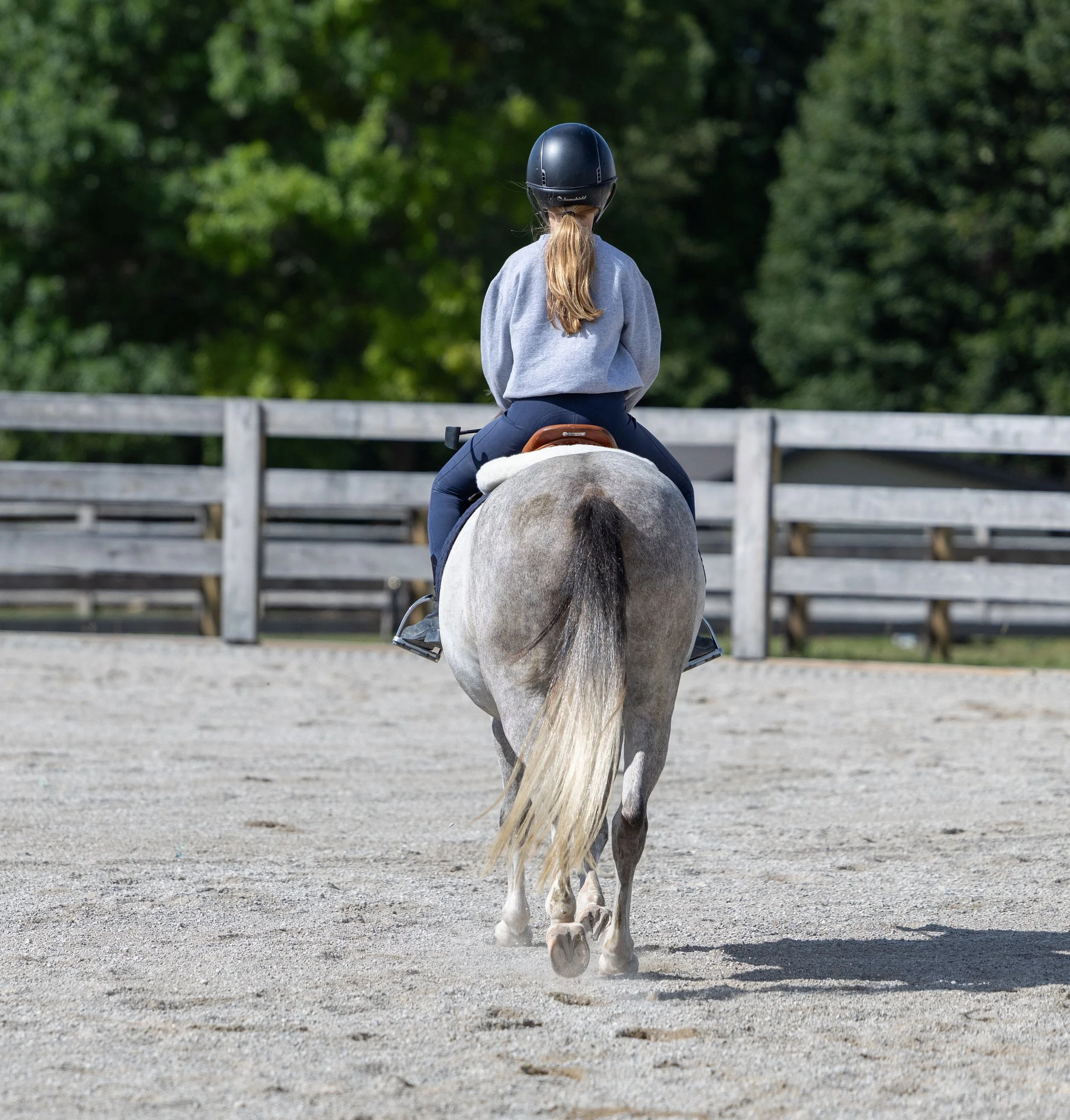 Kingswood Sporthorses August 2025-3.jpg