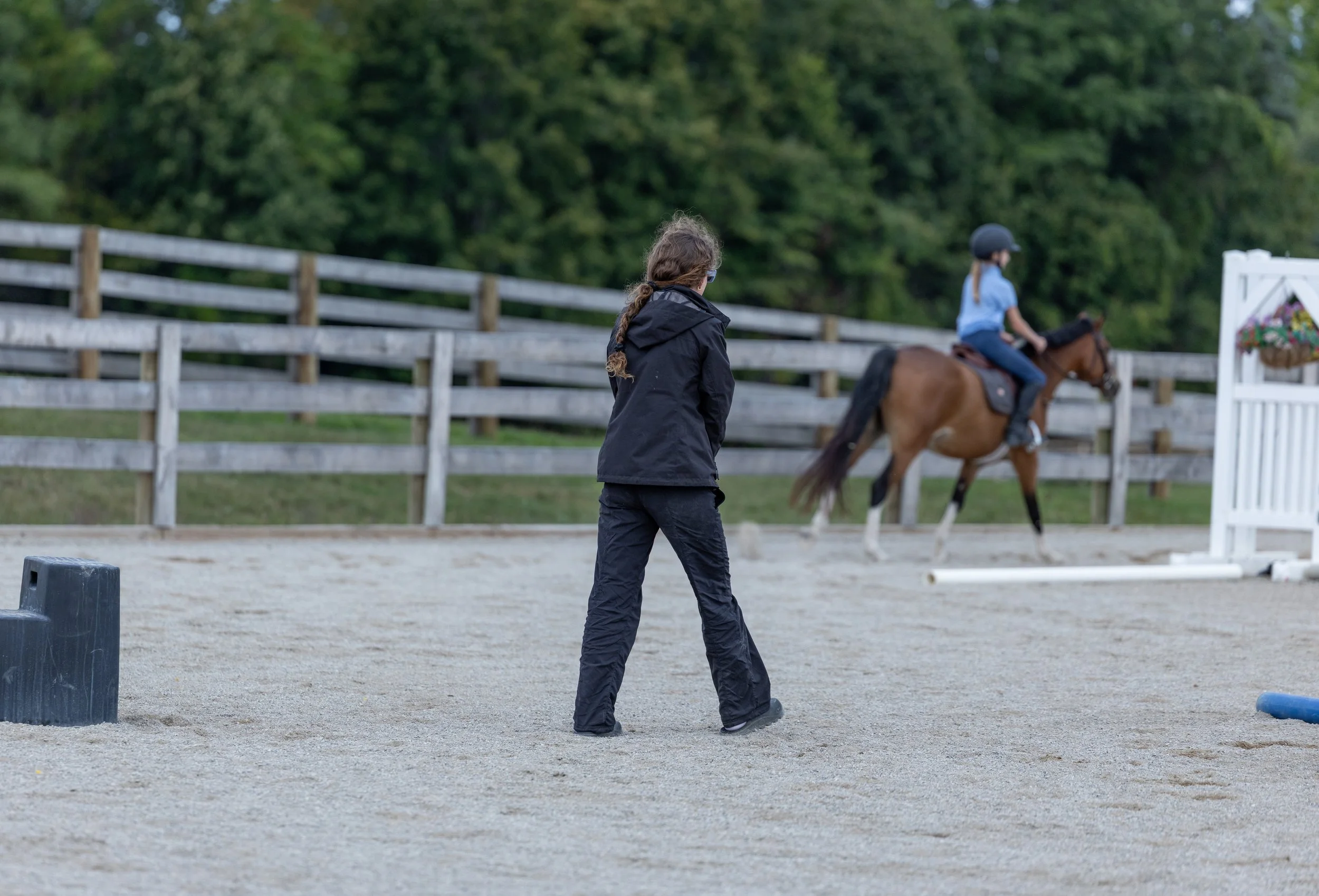 Kingswood Sporthorses August 2025-30.jpg