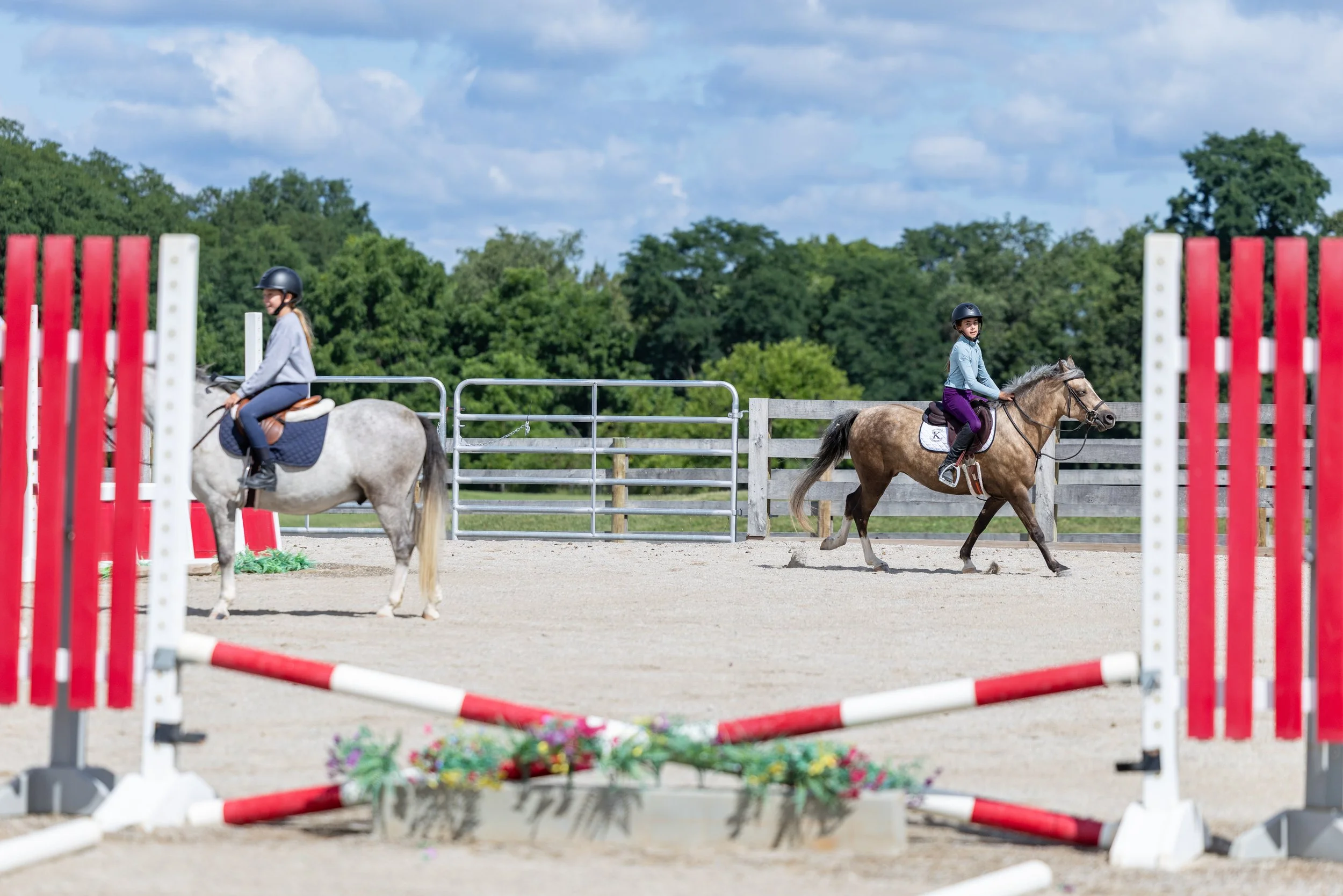 Kingswood Sporthorses August 2025-36.jpg