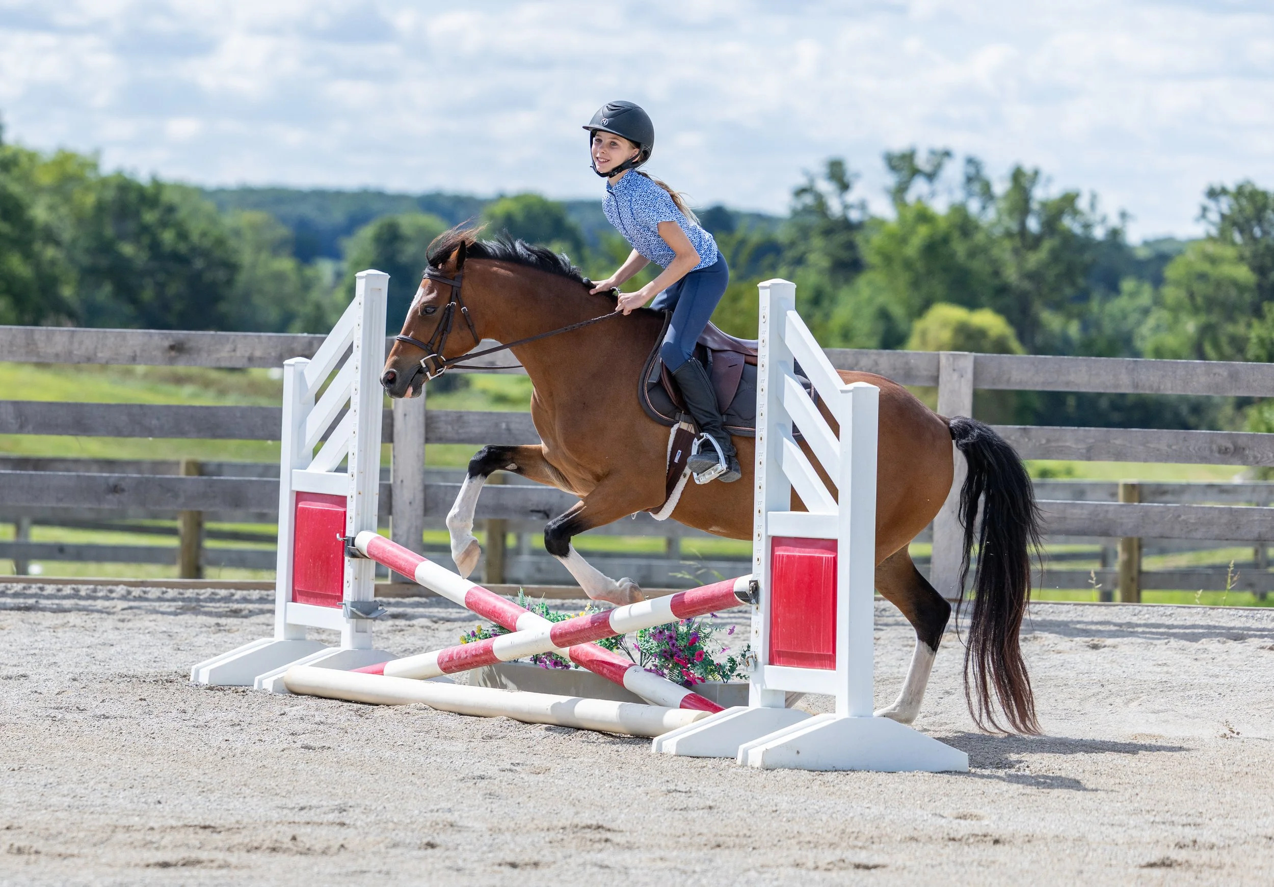 Kingswood Sporthorses August 2025-44.jpg