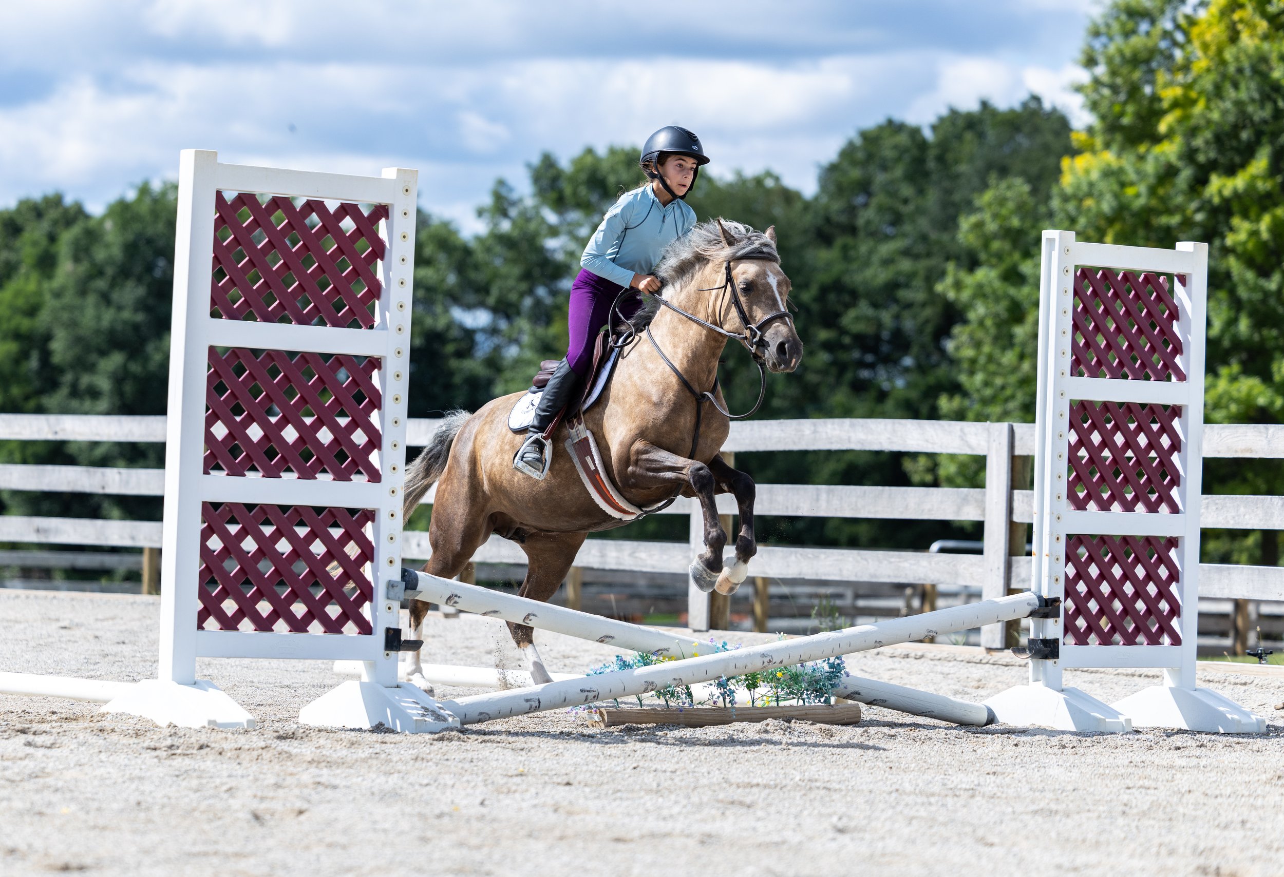 Kingswood Sporthorses August 2025-43.jpg