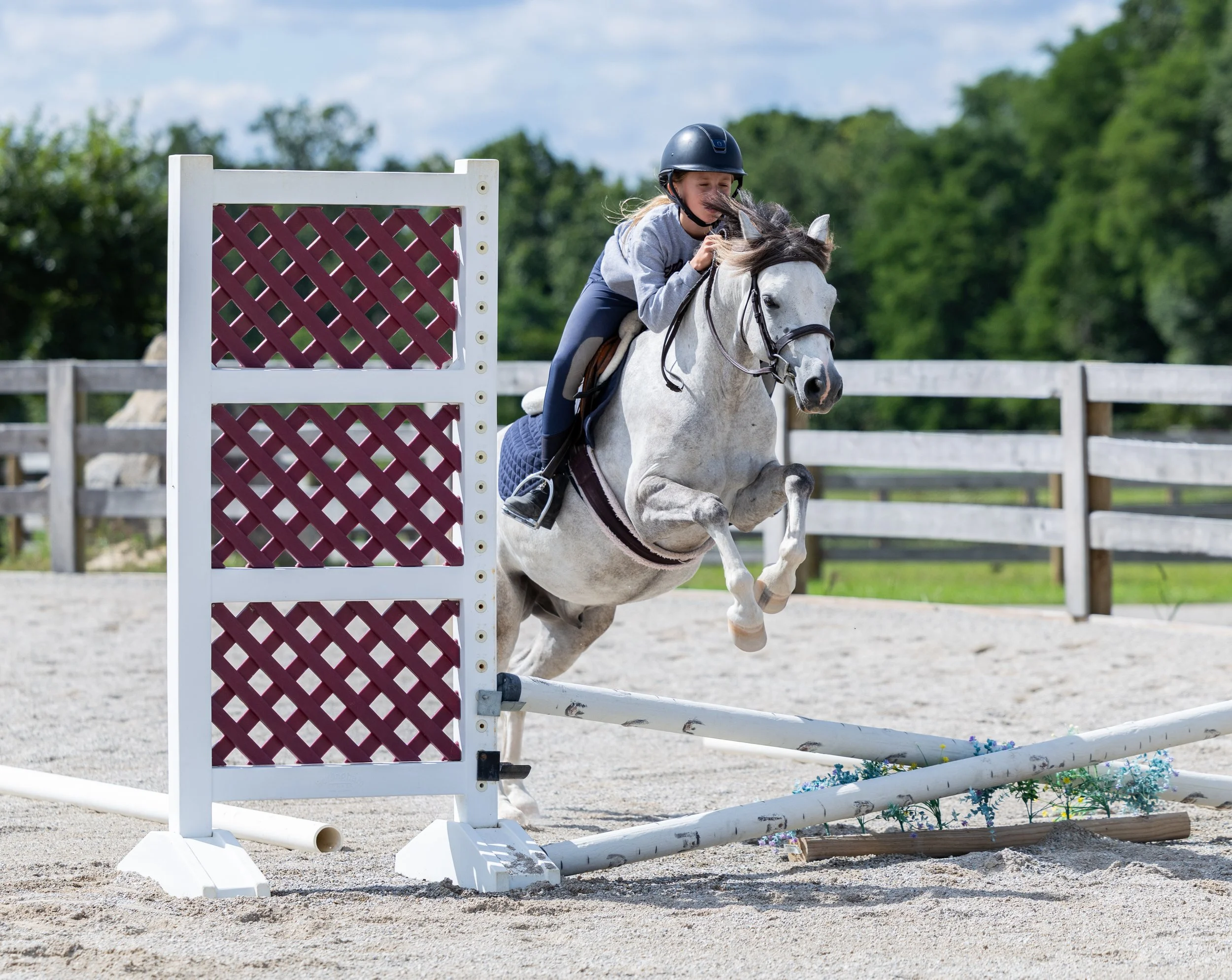 Kingswood Sporthorses August 2025-46.jpg