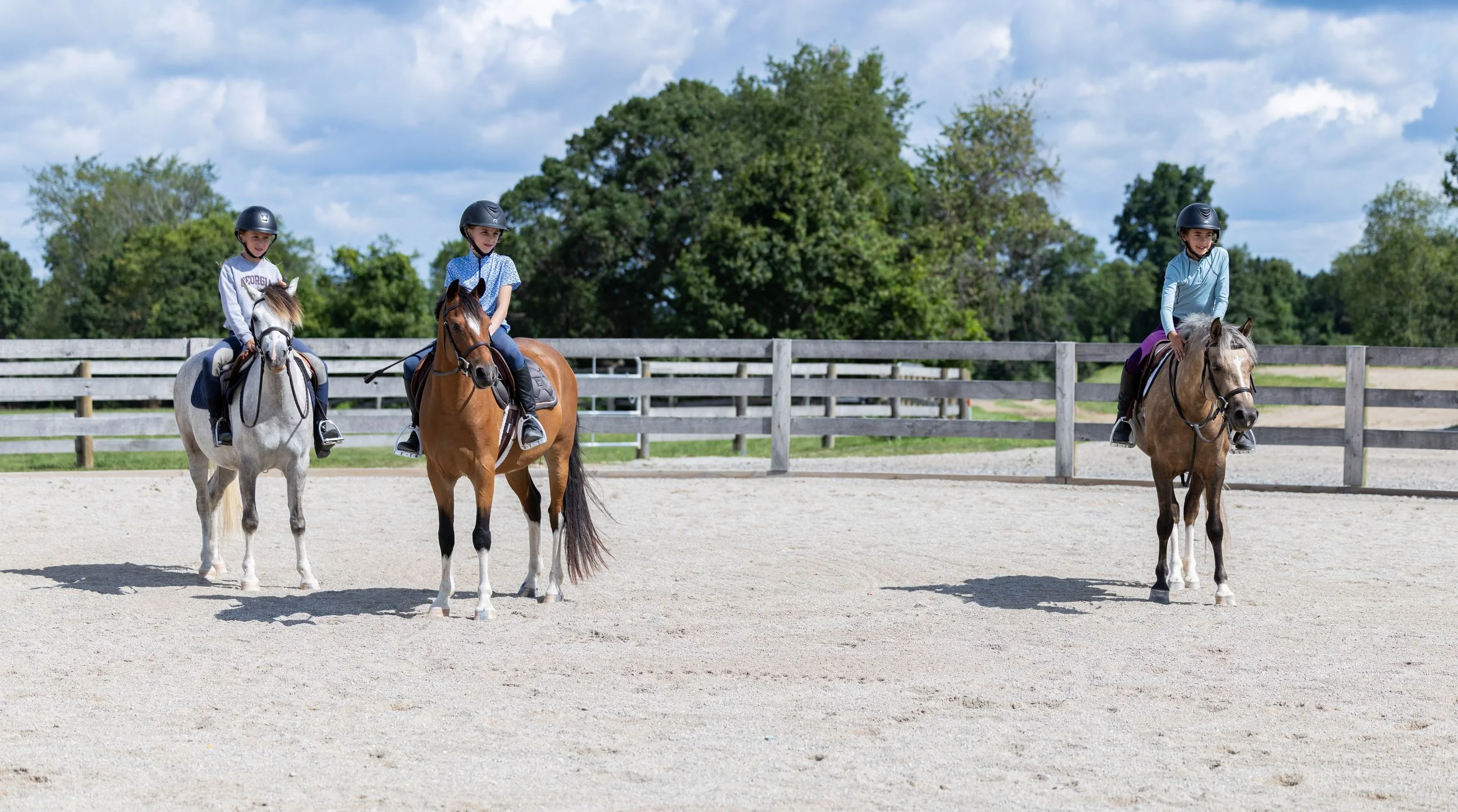 Kingswood Sporthorses August 2025-48.jpg