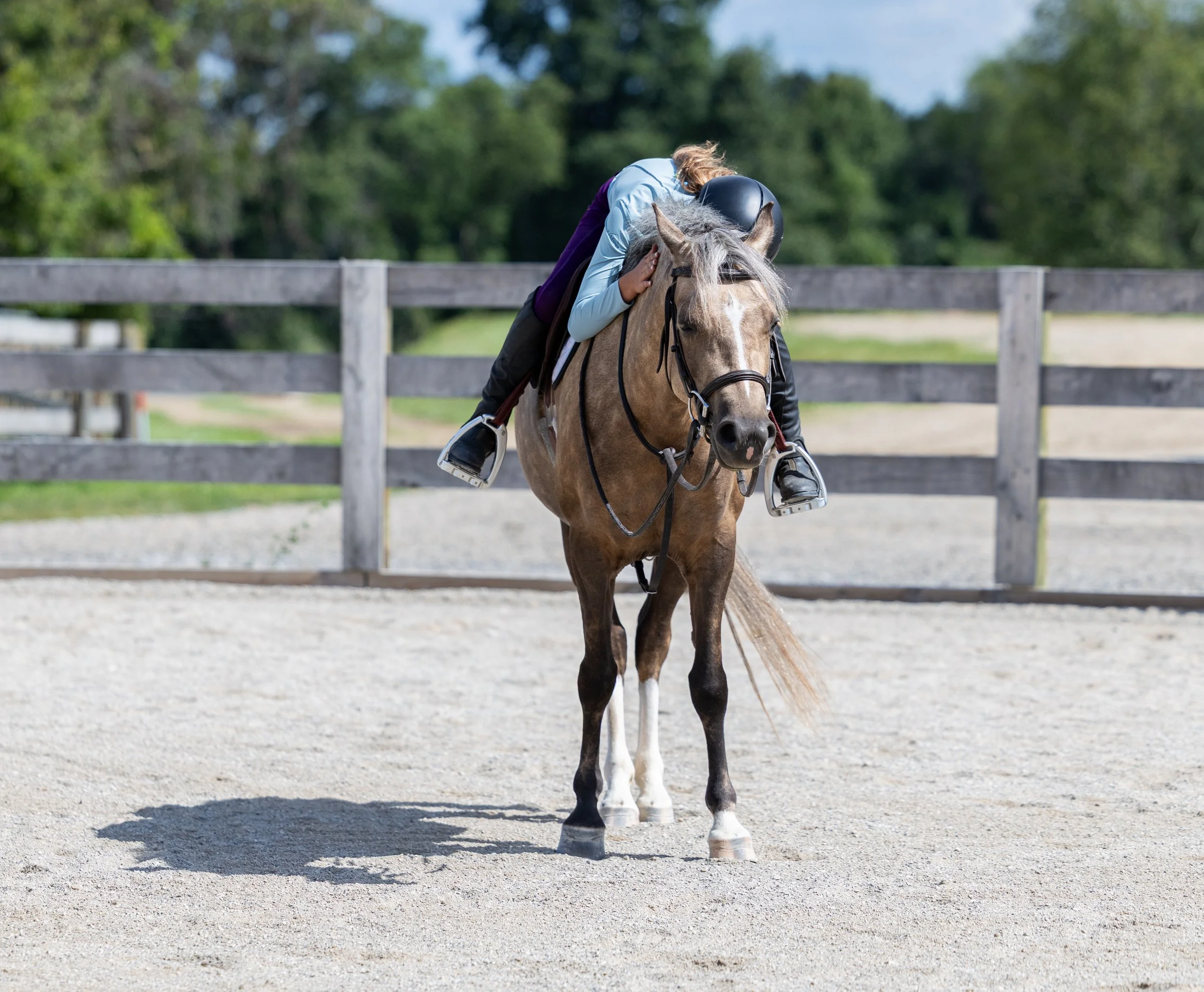 Kingswood Sporthorses August 2025-49.jpg