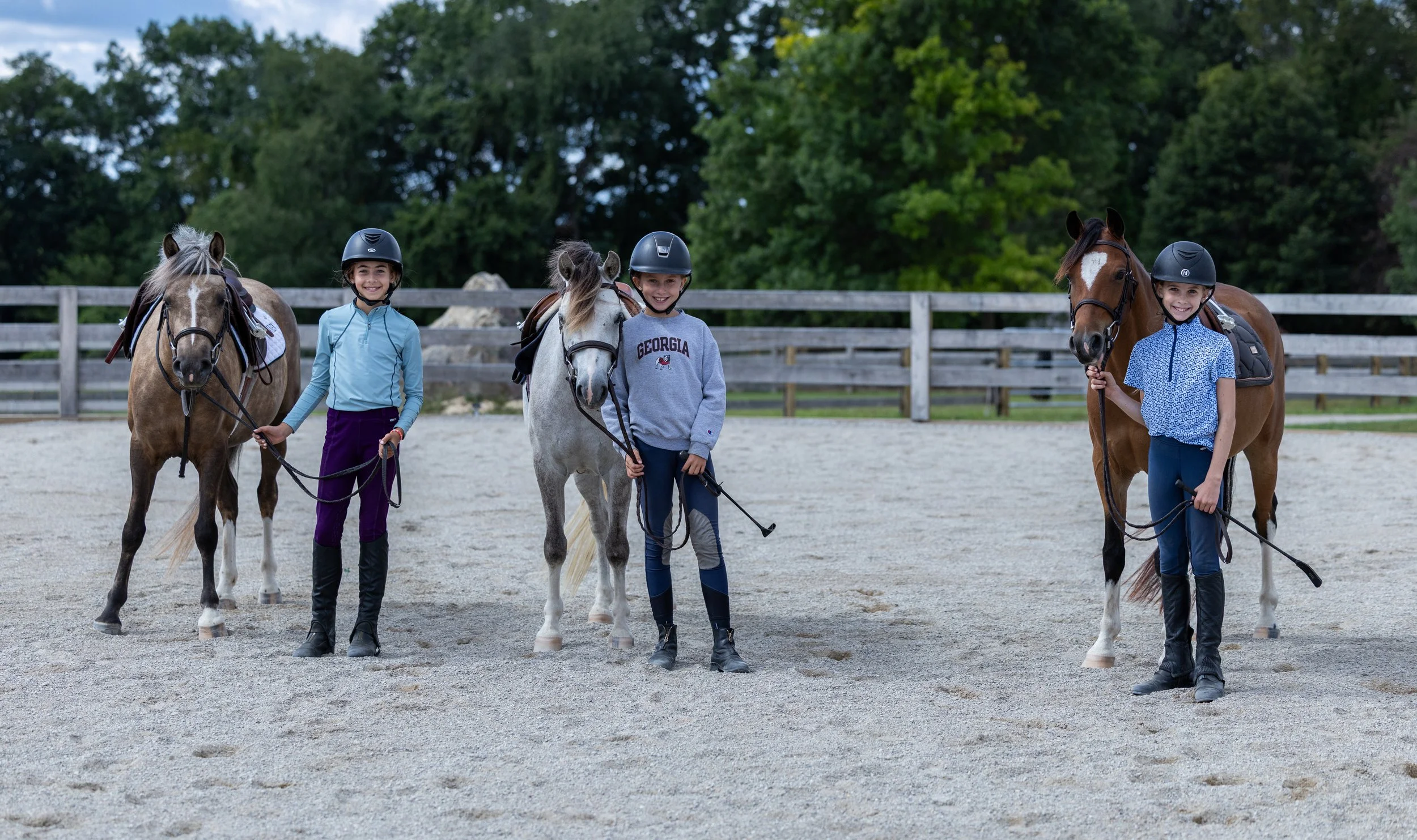 Kingswood Sporthorses August 2025-51.jpg