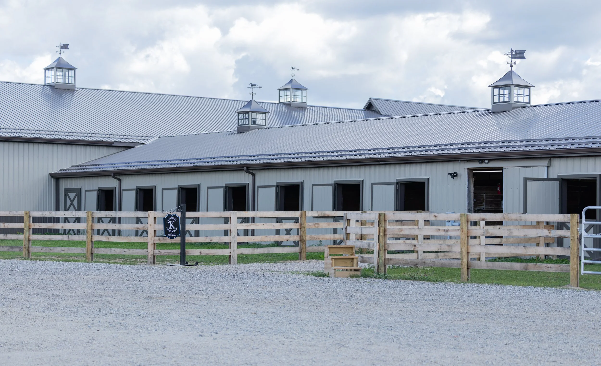 Kingswood Sporthorses August 2025-56.jpg