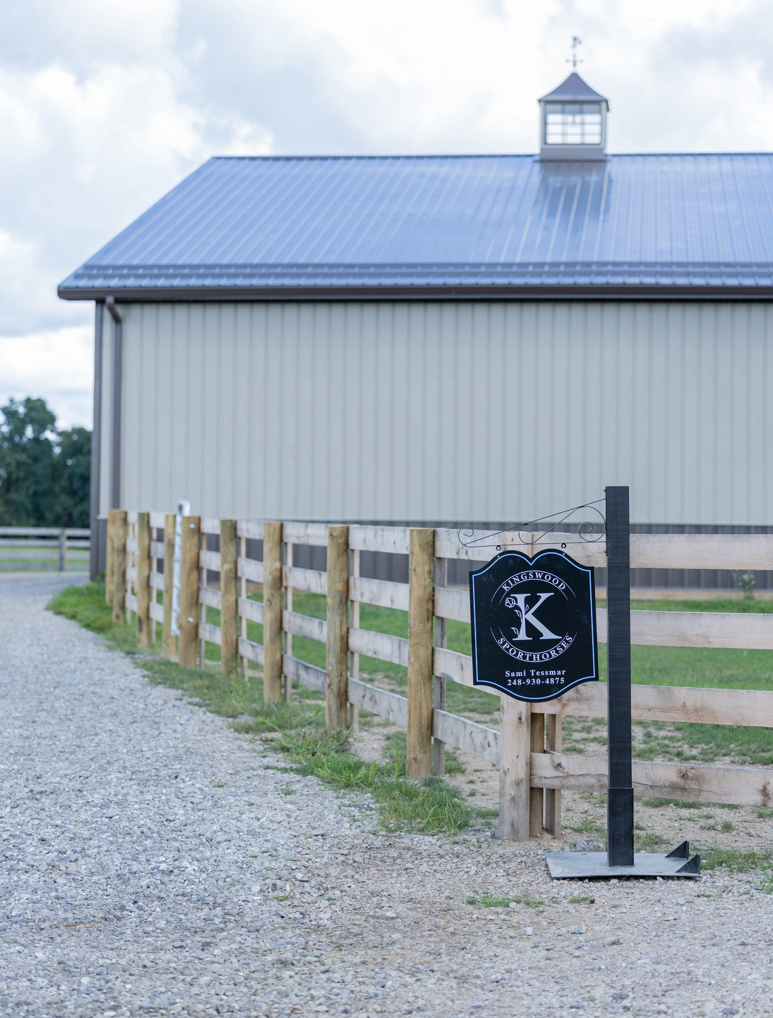 Kingswood Sporthorses August 2025-57.jpg