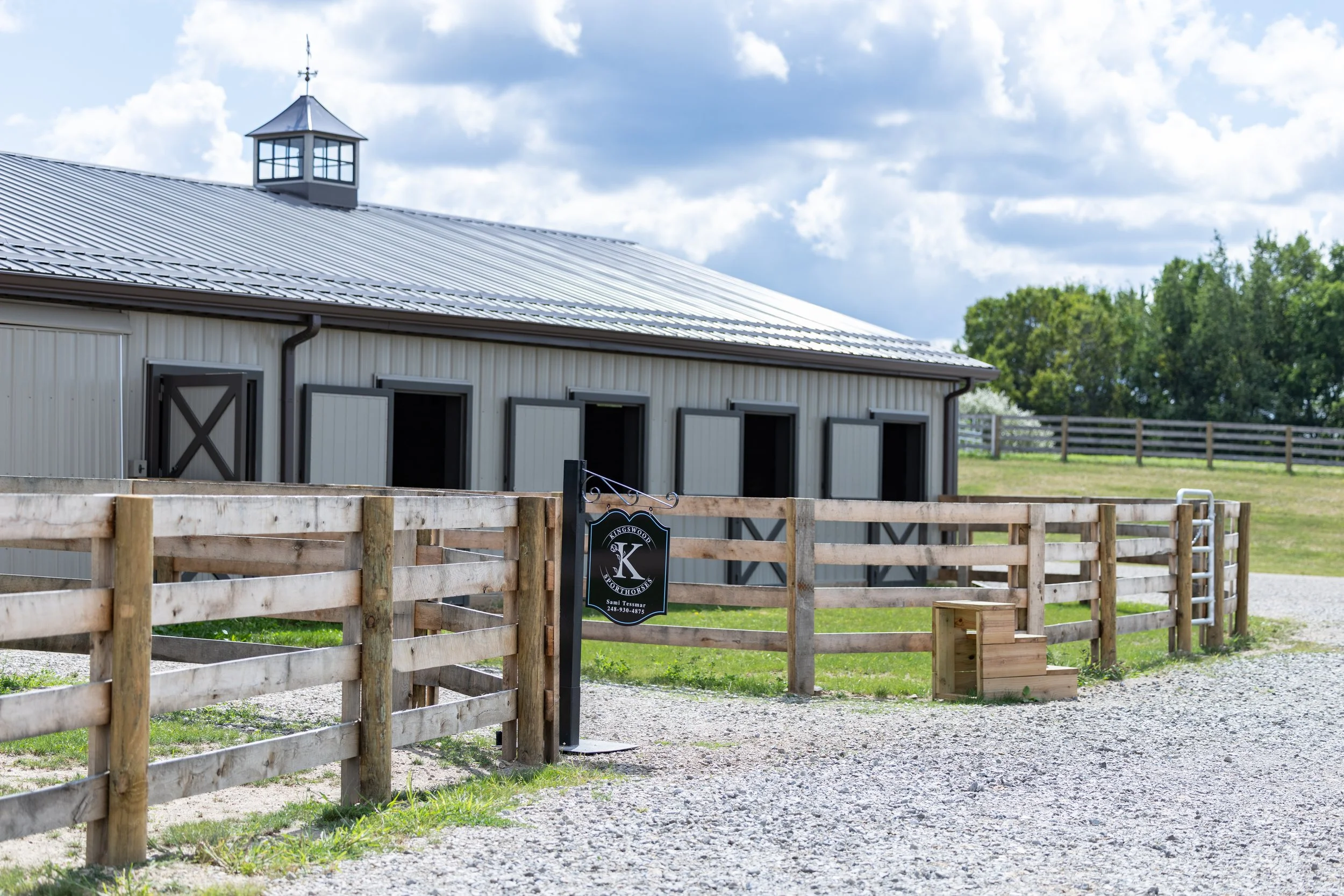 Kingswood Sporthorses August 2025-62_compressed.jpg