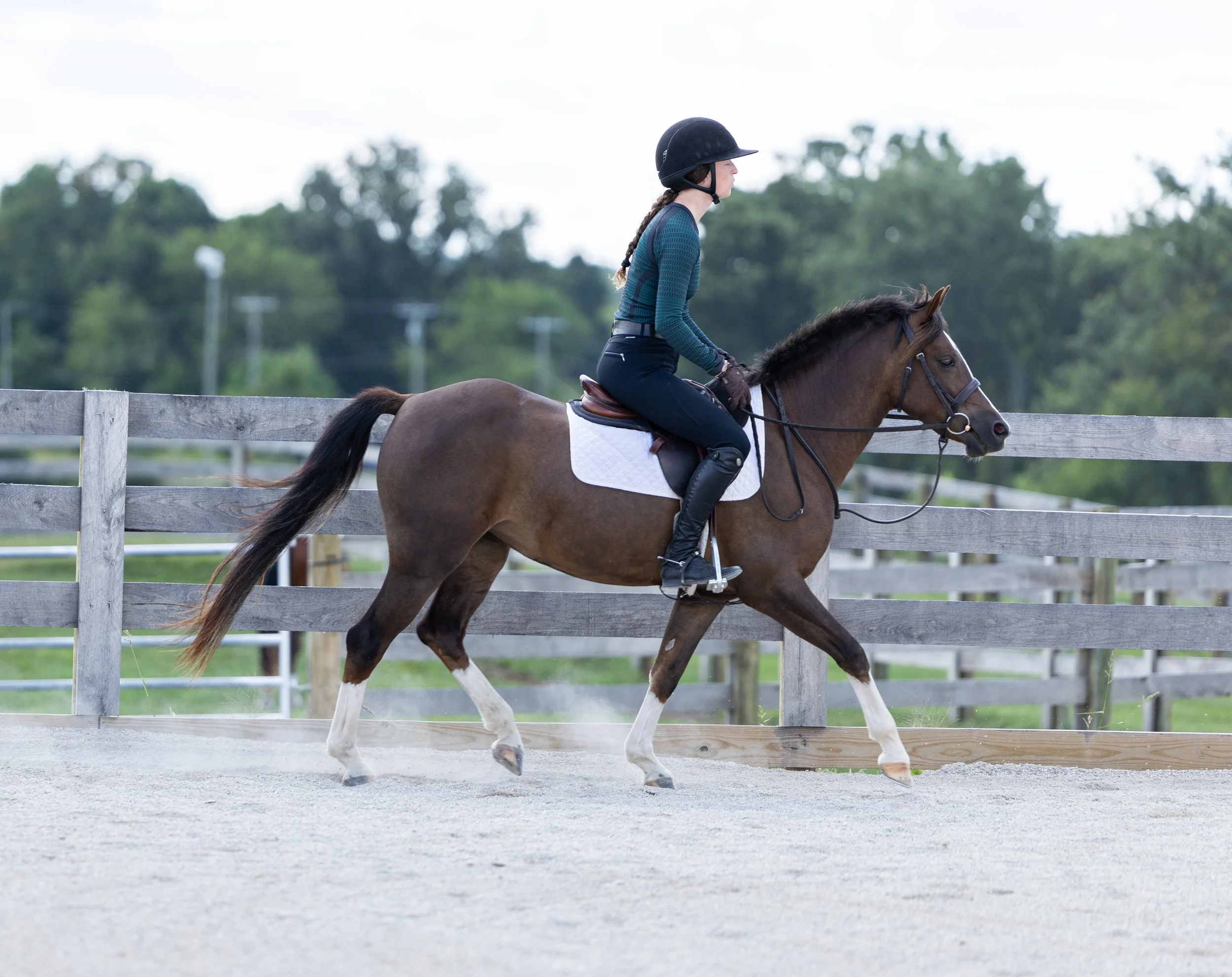 Kingswood Sporthorses August 2025-64.jpg