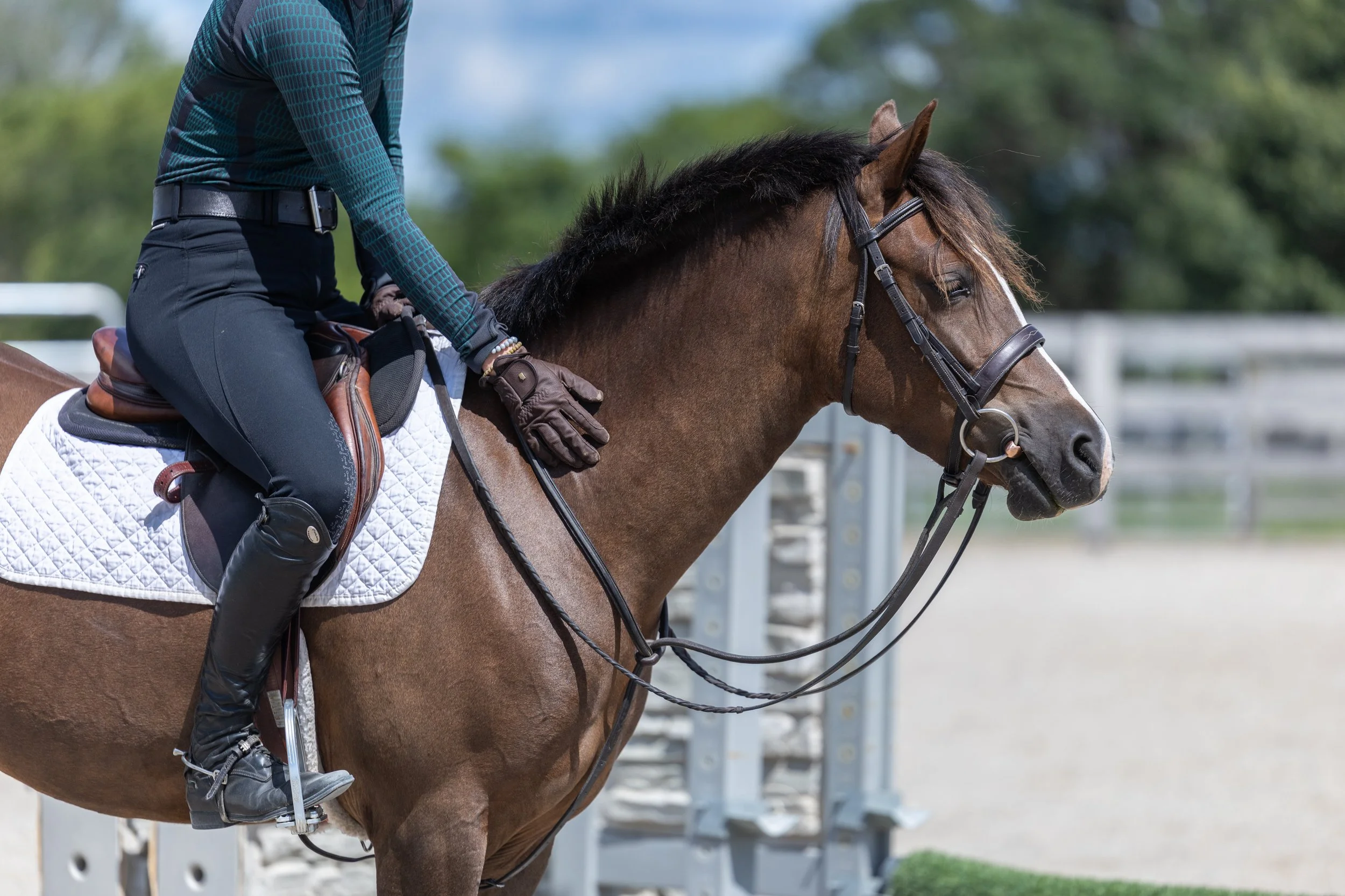 Kingswood Sporthorses August 2025-68_compressed.jpg