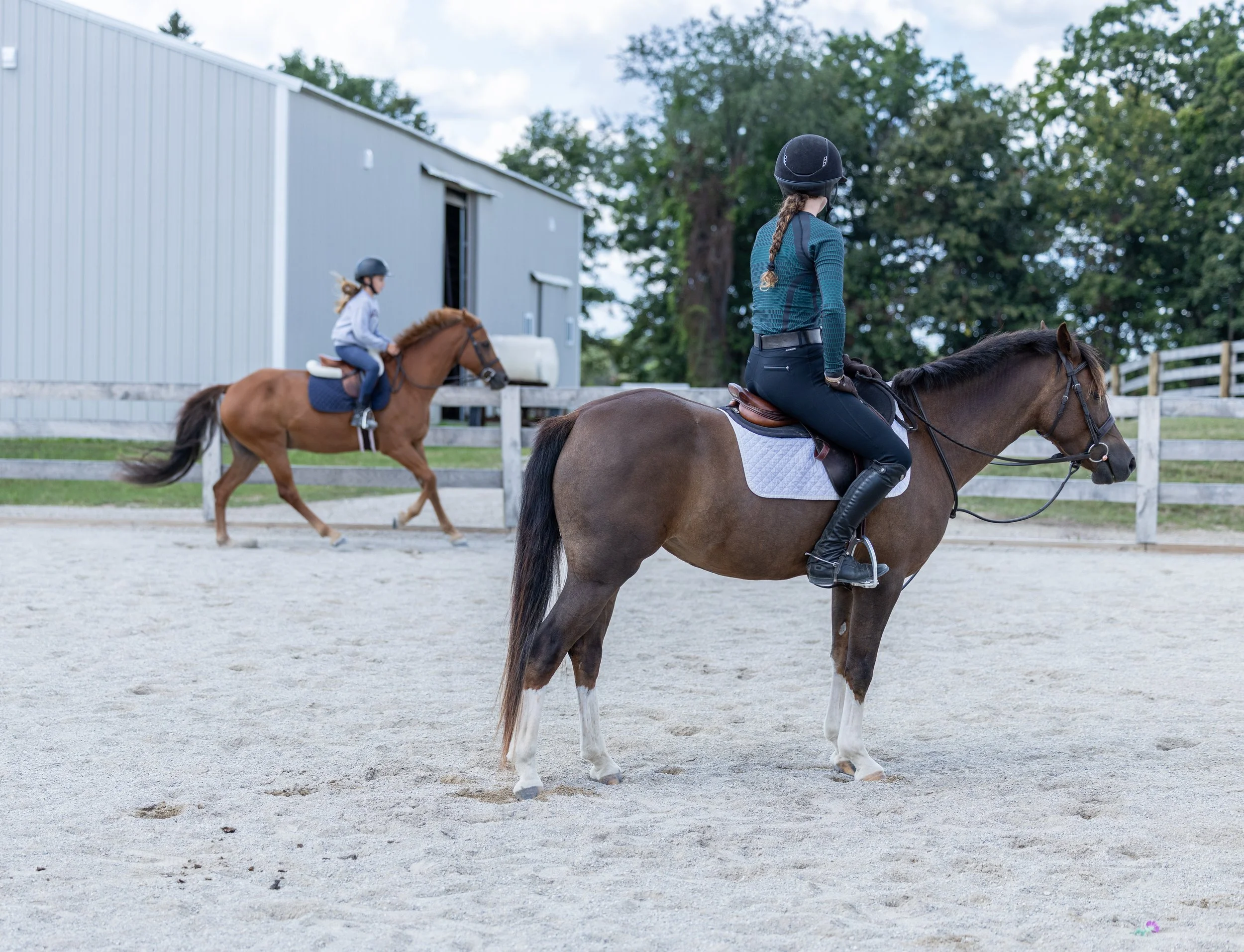 Kingswood Sporthorses August 2025-70.jpg