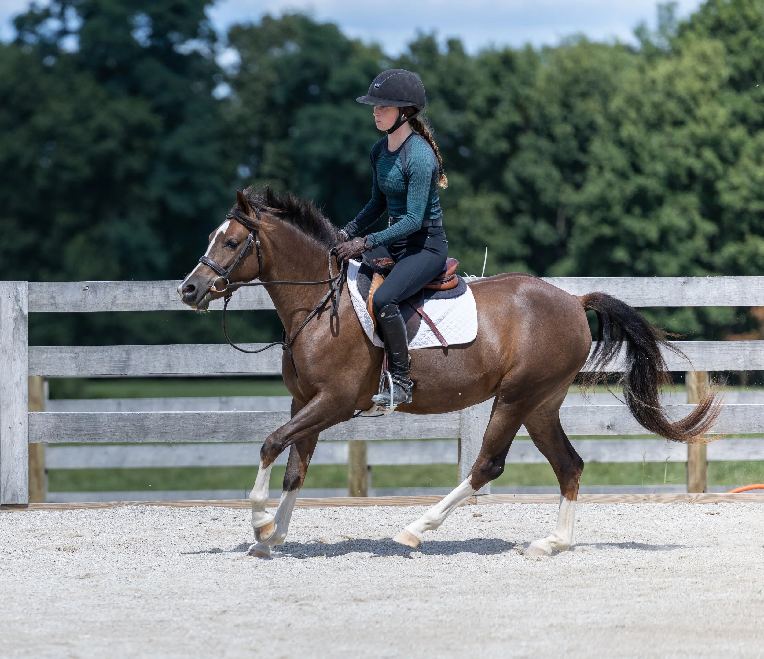 Kingswood Sporthorses August 2025-73.jpg