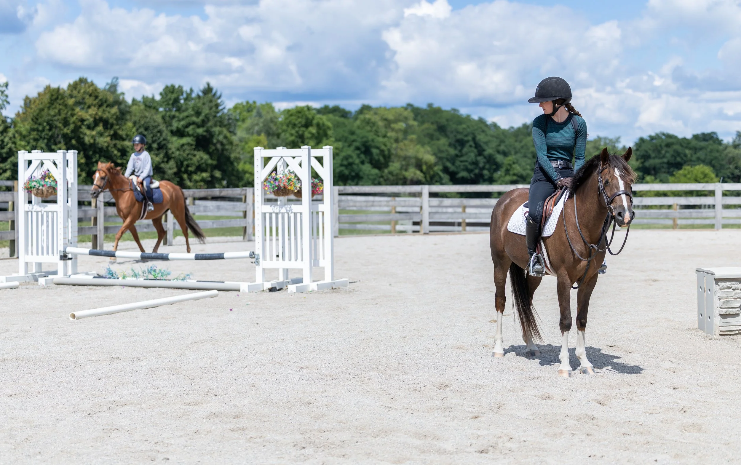 Kingswood Sporthorses August 2025-67_compressed.jpg