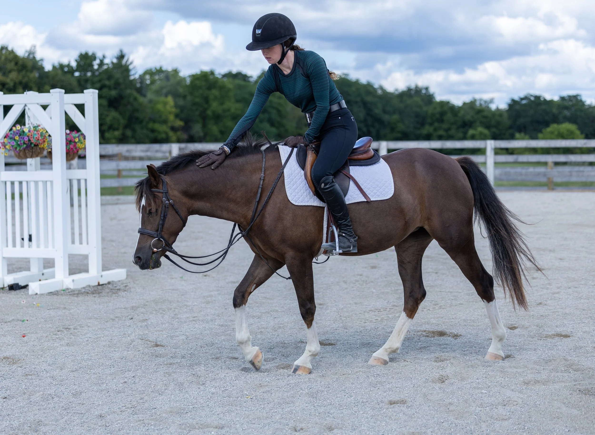 Kingswood Sporthorses August 2025-75_compressed.jpg