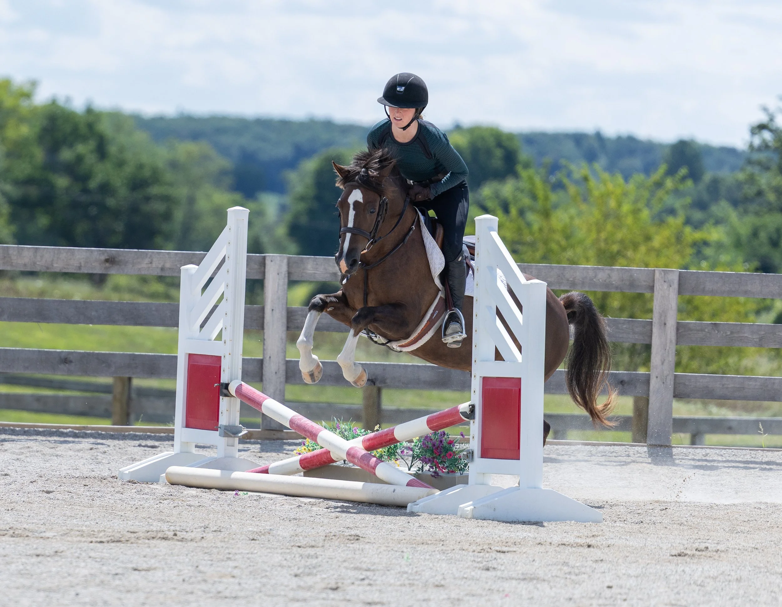 Kingswood Sporthorses August 2025-83.jpg