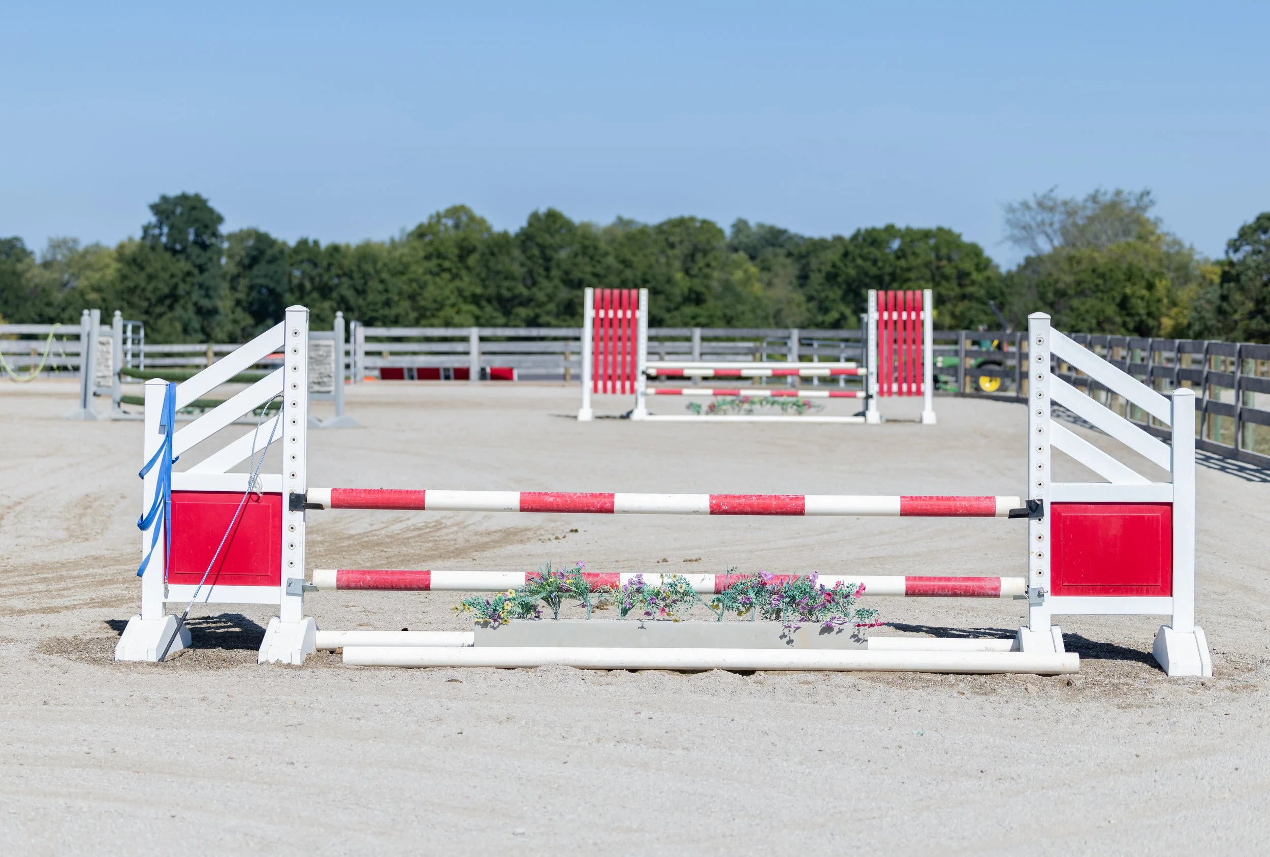 Kingswood Sporthorses August 2025-106.jpg