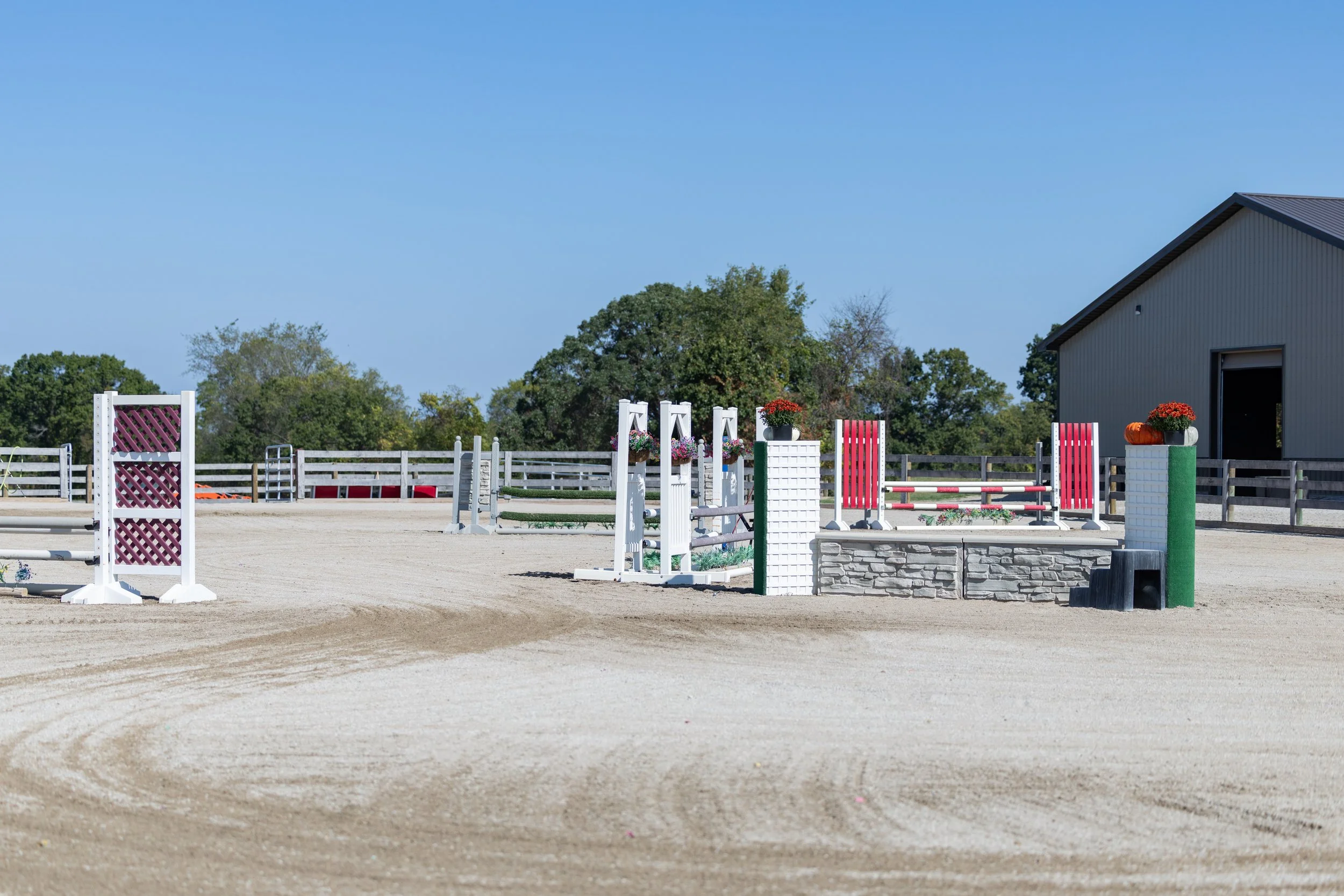 Kingswood Sporthorses August 2025-107_compressed.jpg