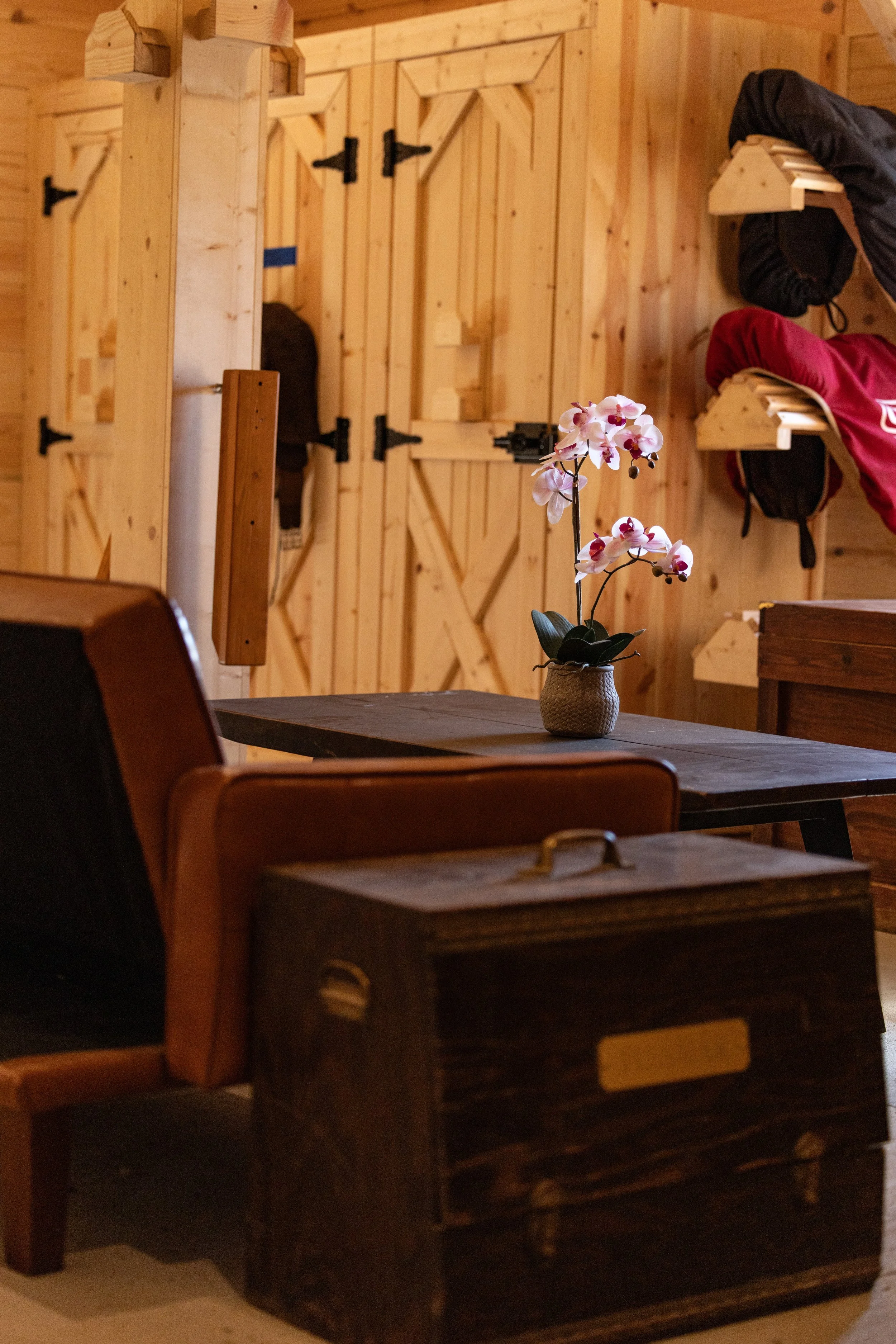 Kingswood Sporthorses August 2025-122_compressed.jpg