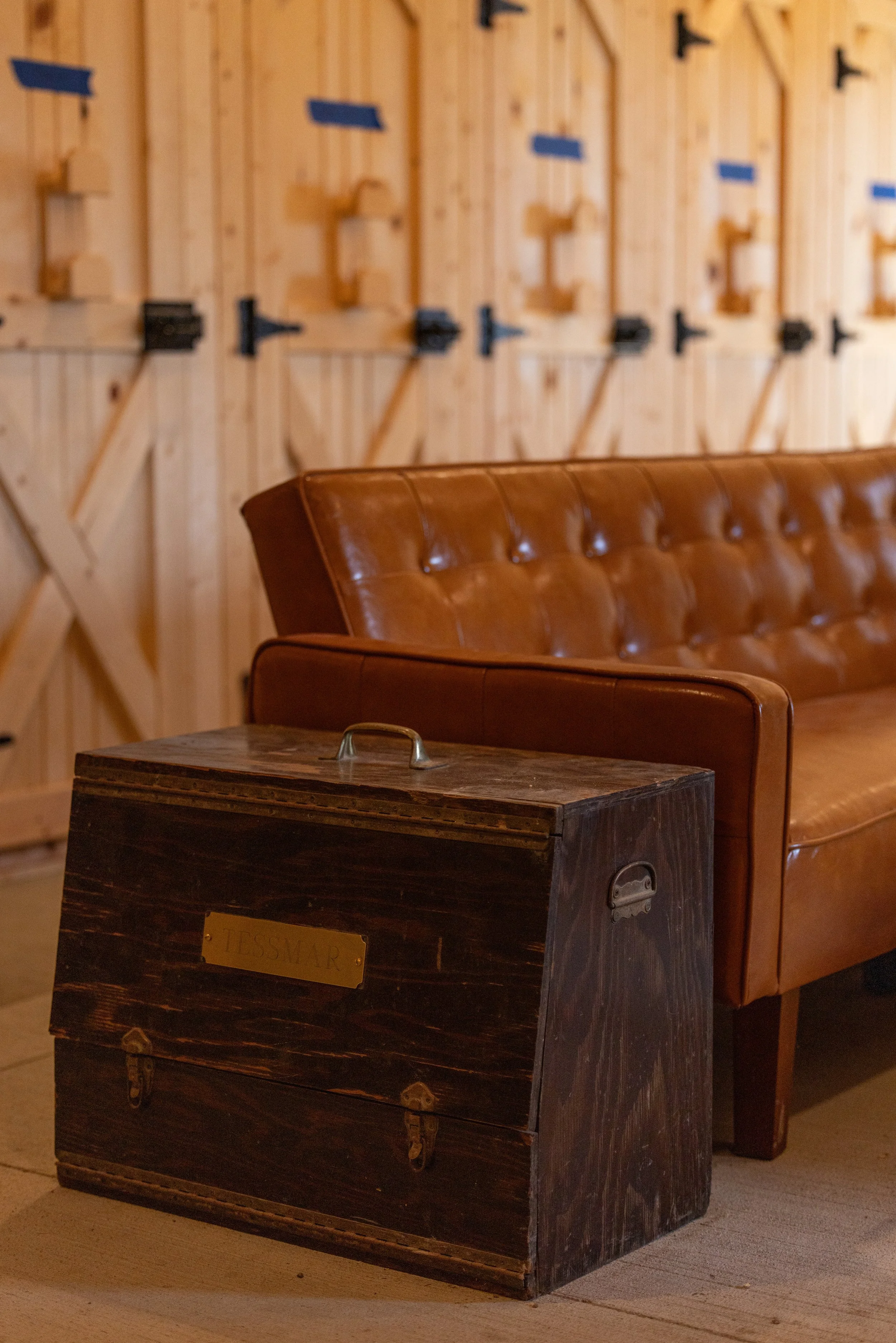 Kingswood Sporthorses August 2025-123_compressed.jpg