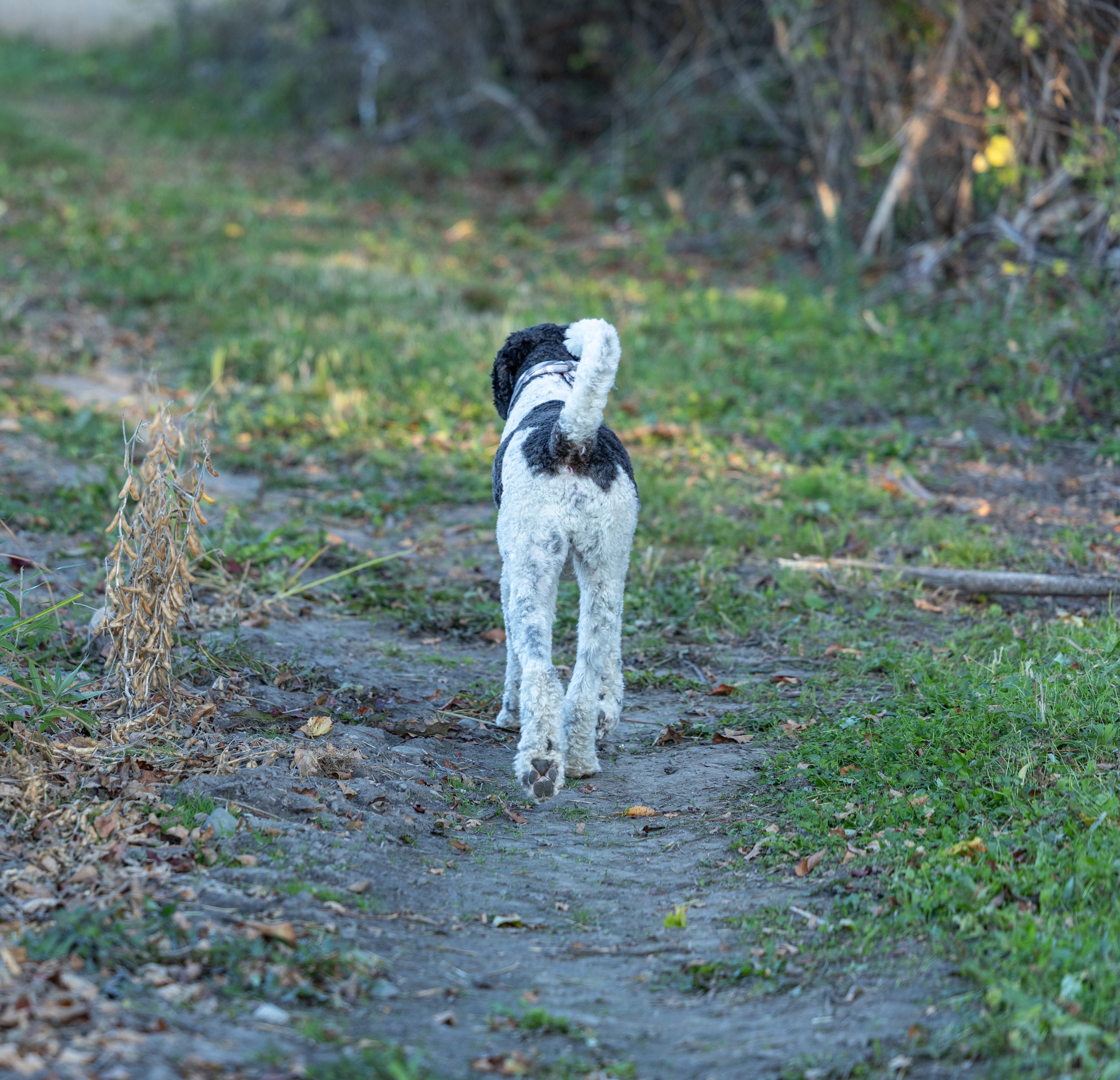 Amanda and Steve Mulak October 2025-19.jpg