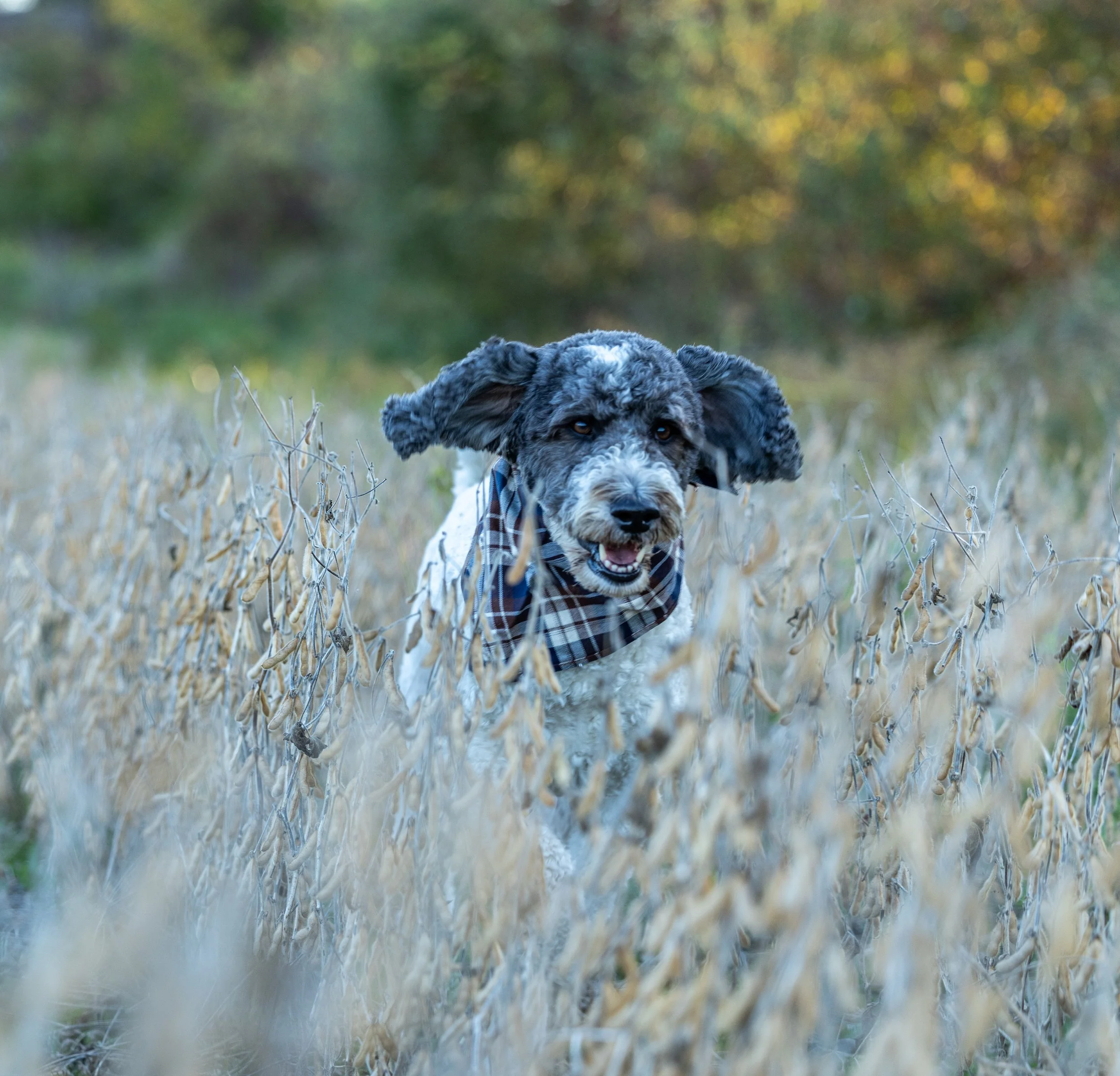 Amanda and Steve Mulak October 2025-21.jpg
