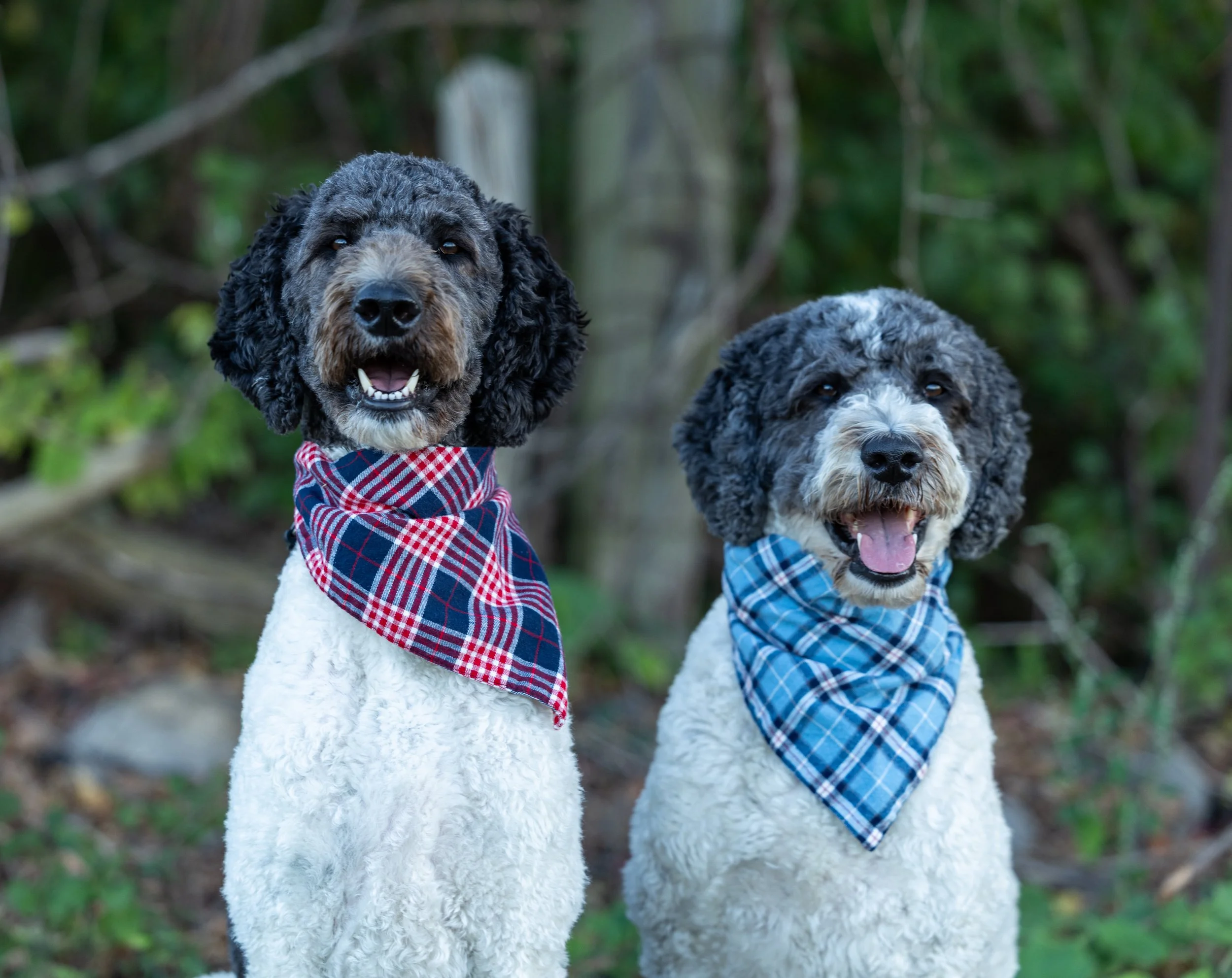 Amanda and Steve Mulak October 2025-38.jpg