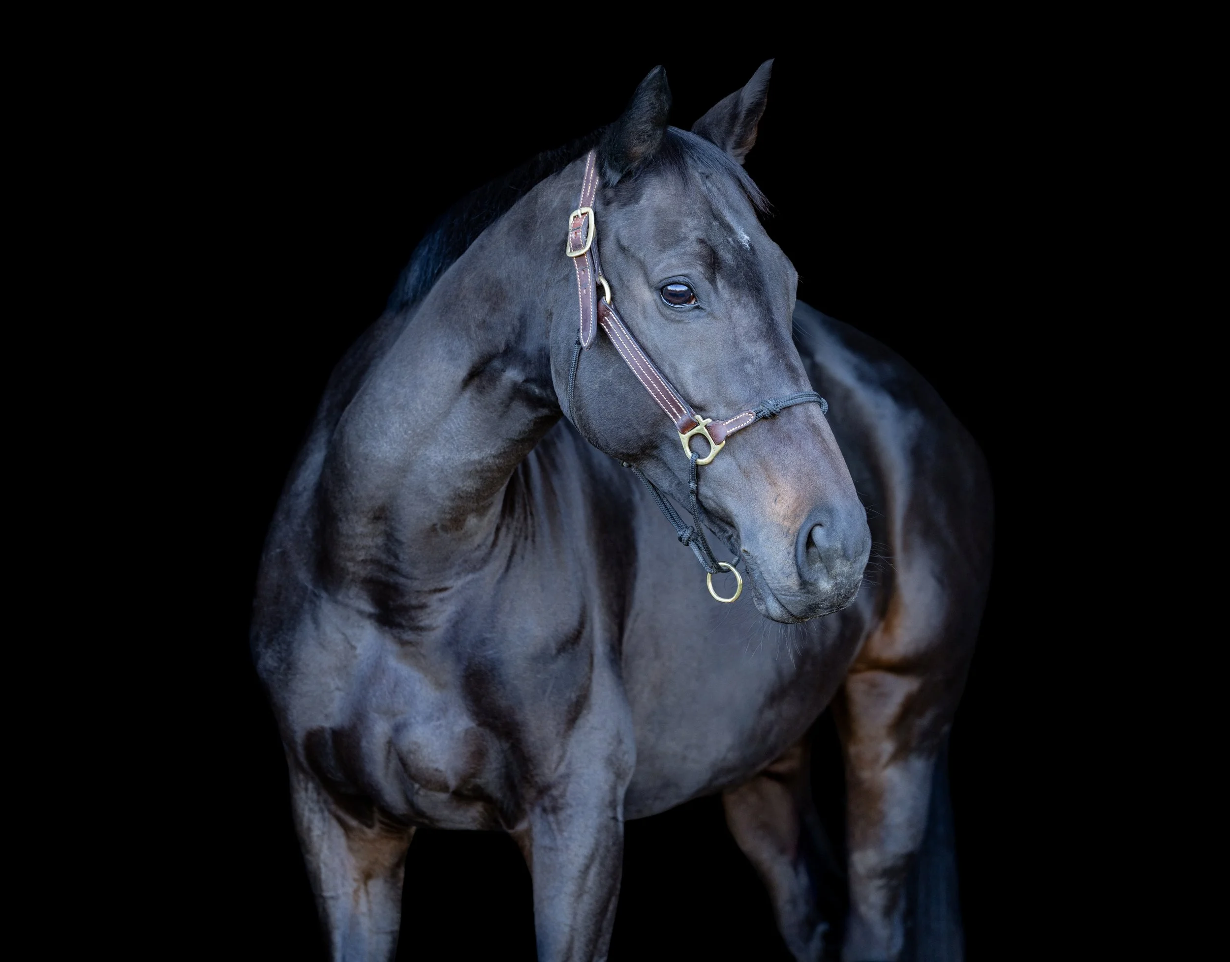 Leslie Bilyeu October 2025-3.jpg