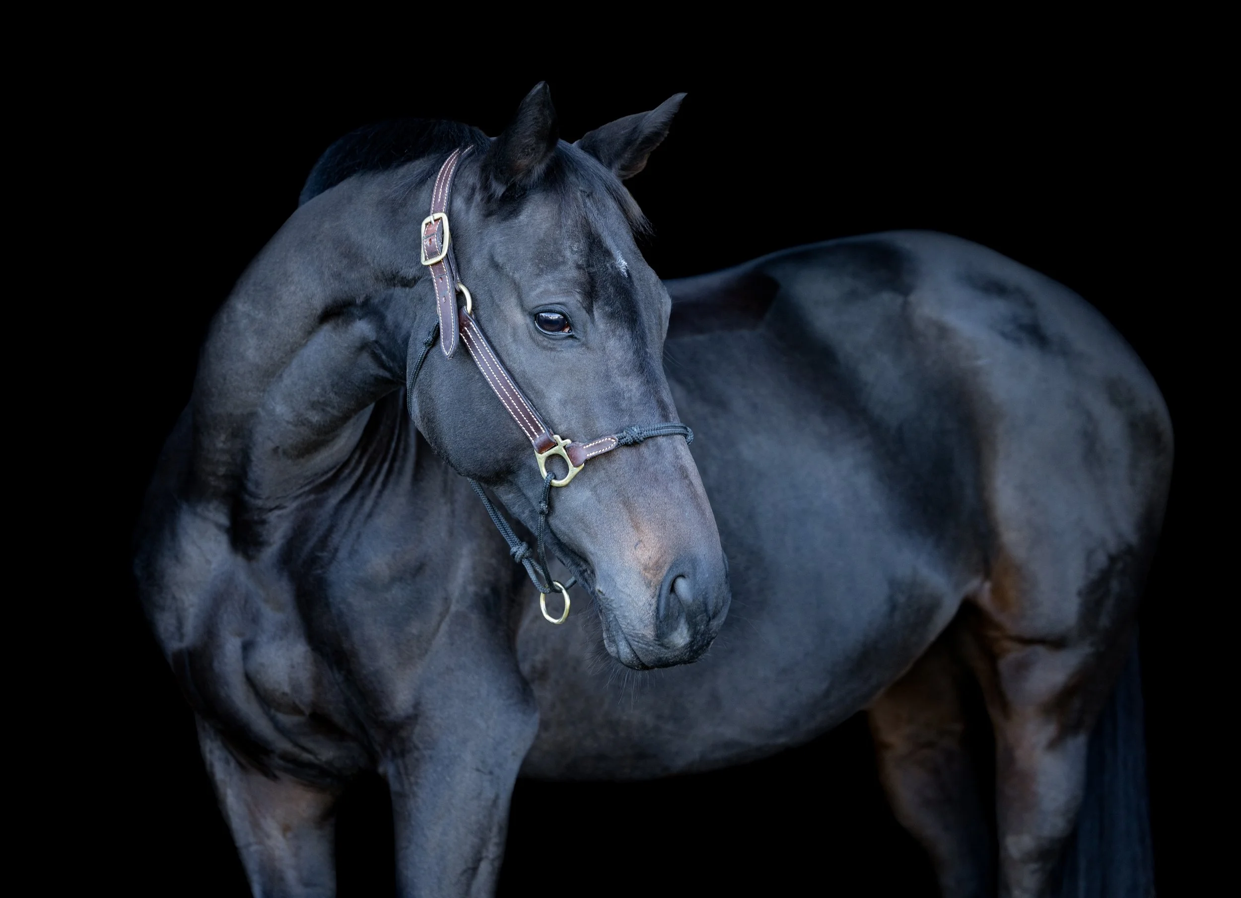 Leslie Bilyeu October 2025-2.jpg