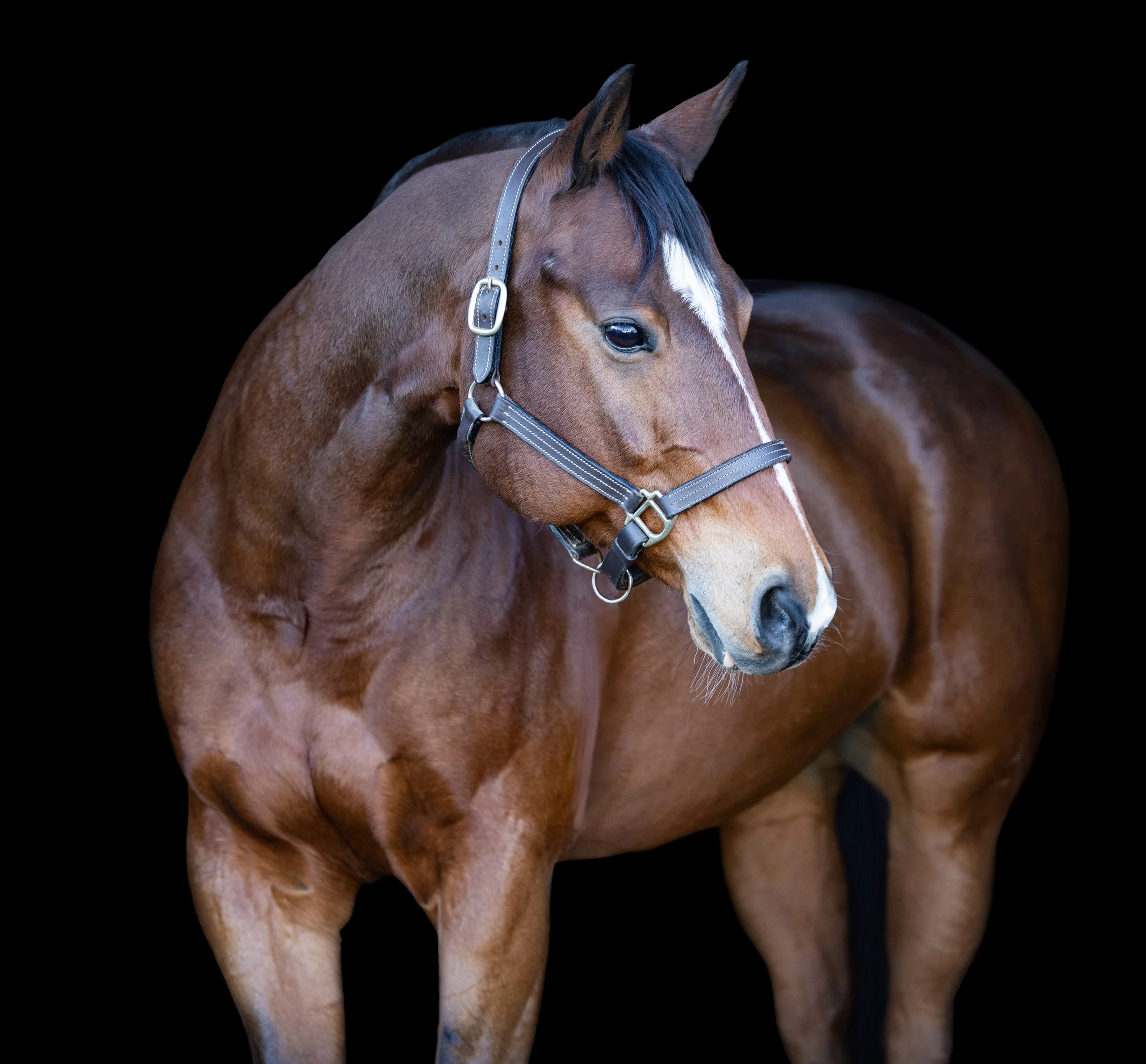 Leslie Bilyeu October 2025-5.jpg