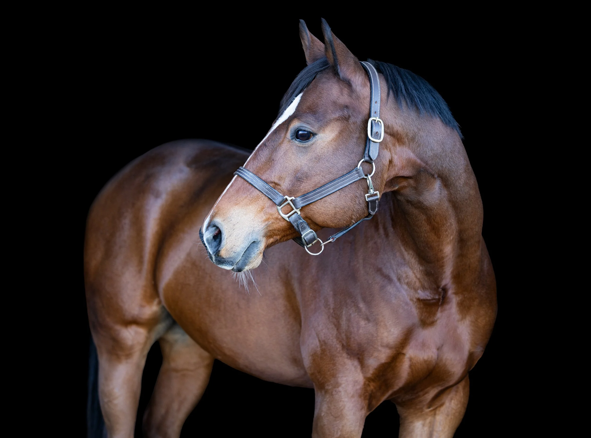 Leslie Bilyeu October 2025-4.jpg