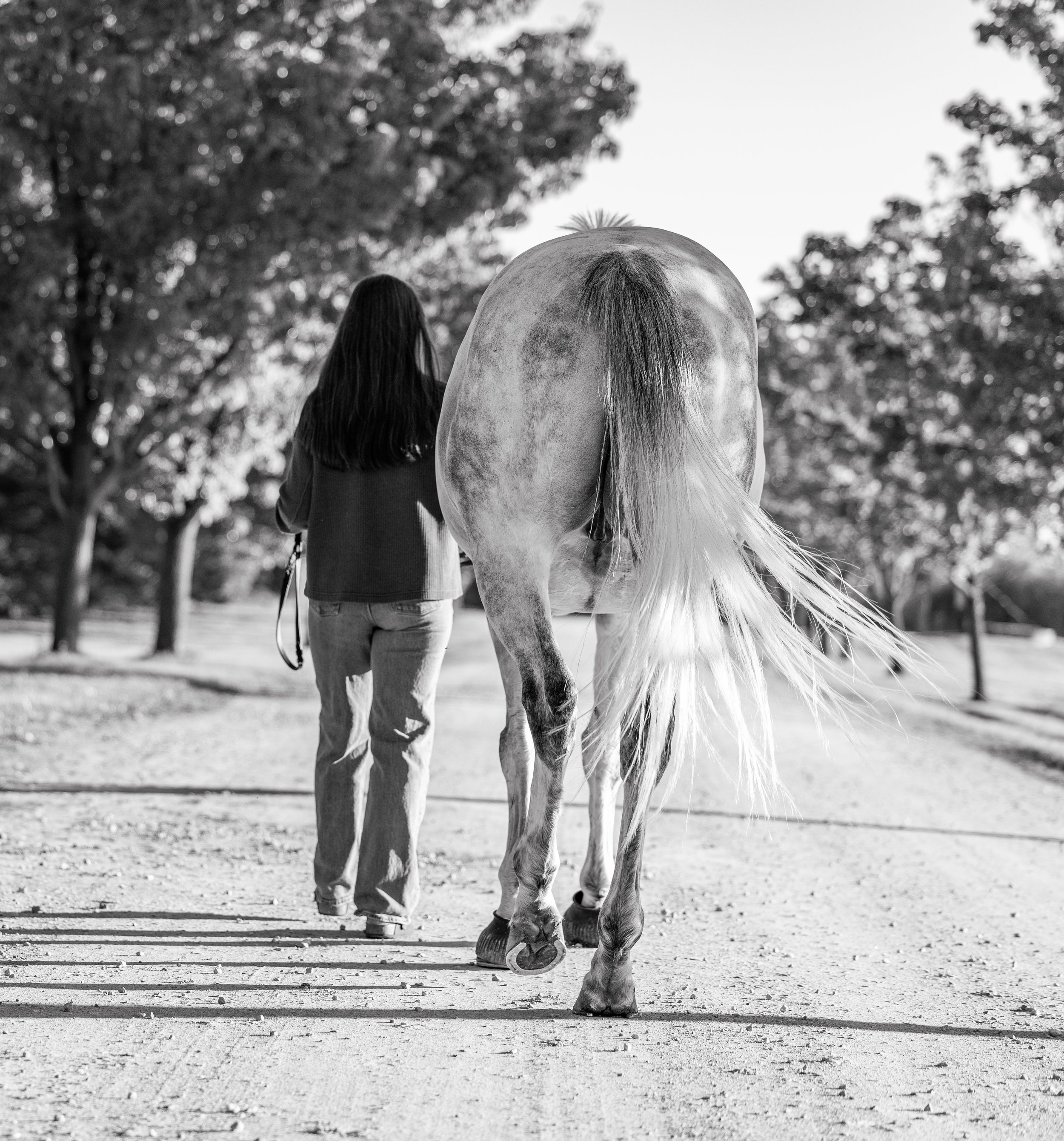 Kate Jones Senior Photos October 2025-13.jpg