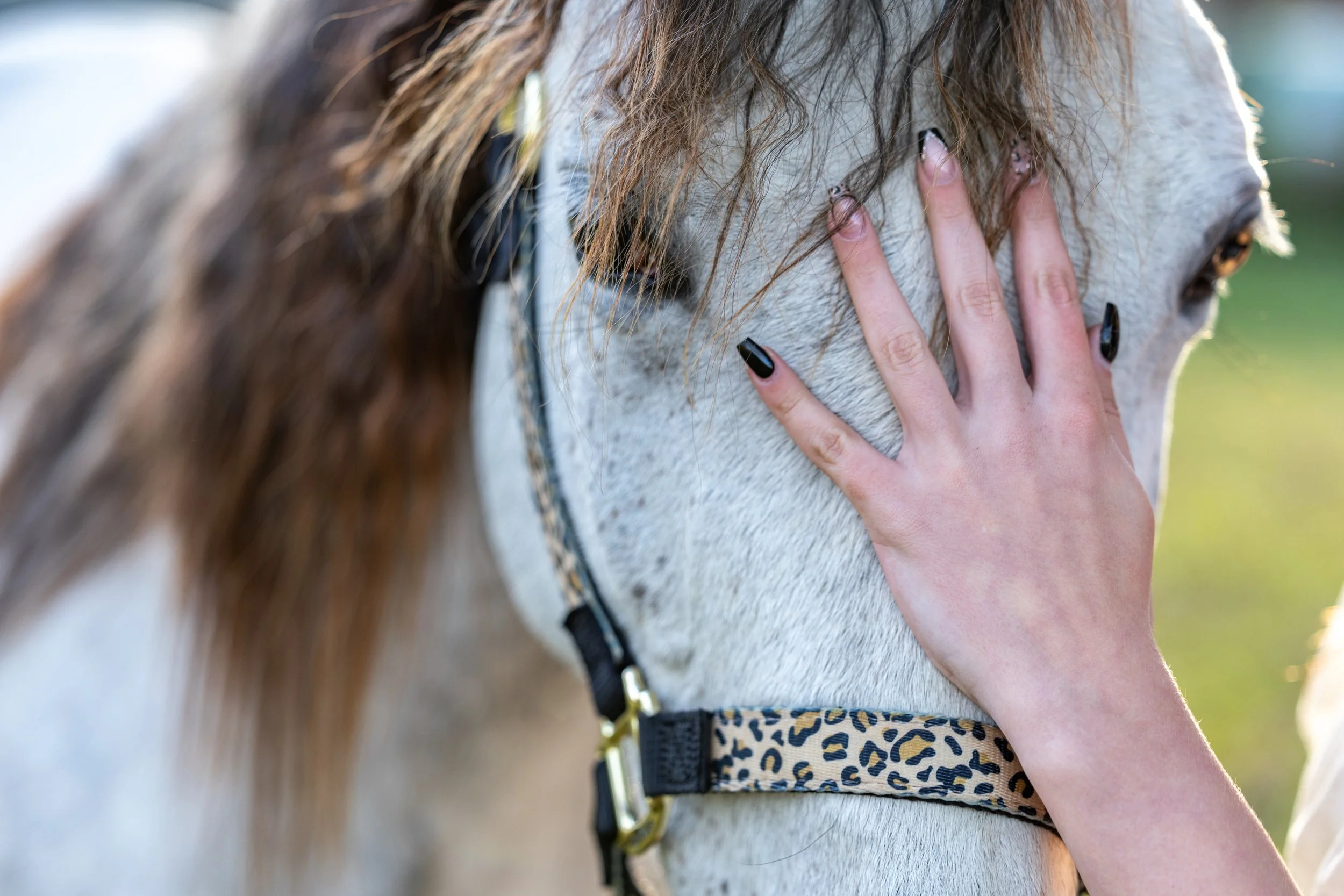 Gracelynn Senior Photos October 2025-20_compressed.jpg