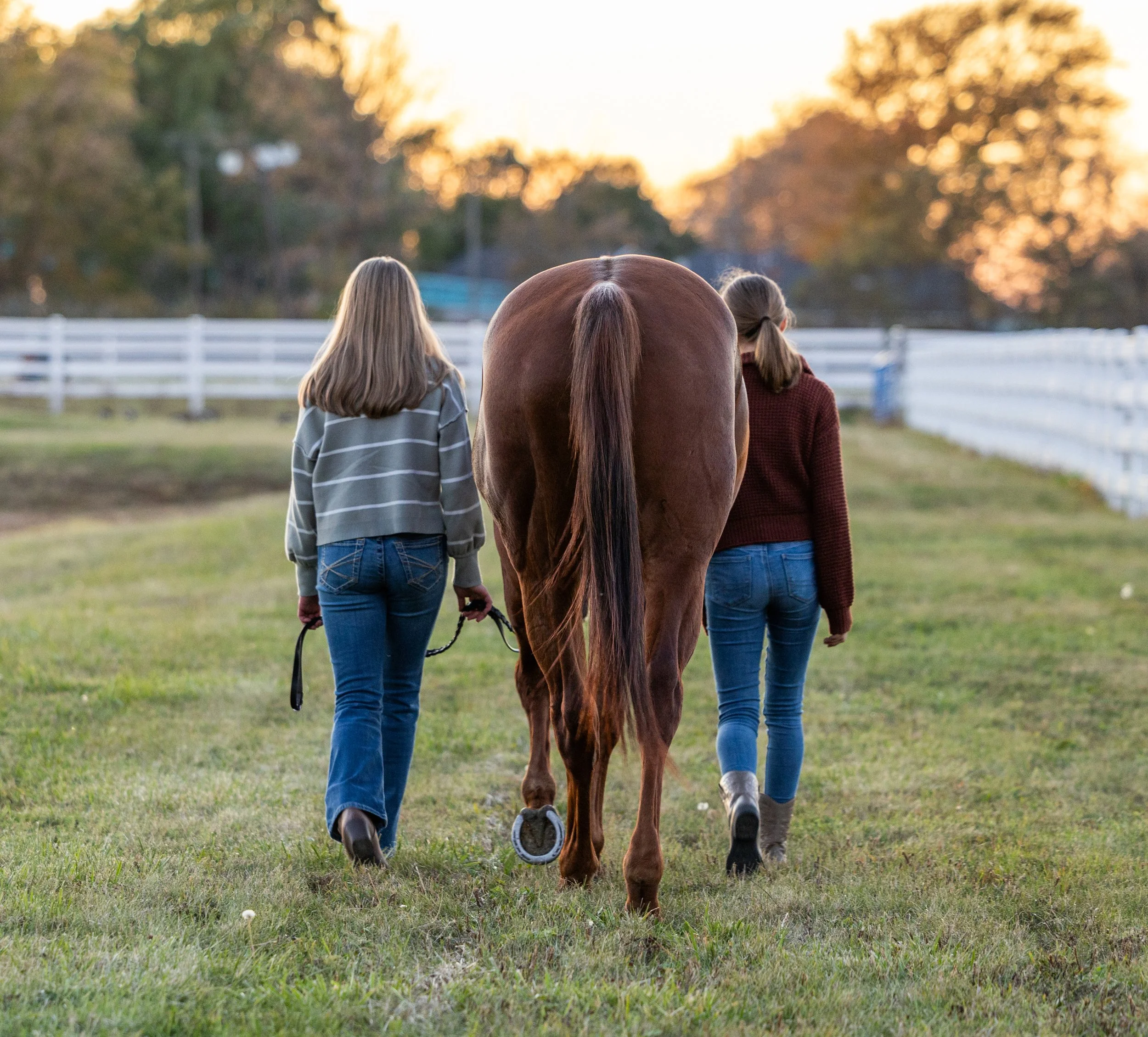 Canyon October 2025-18.jpg