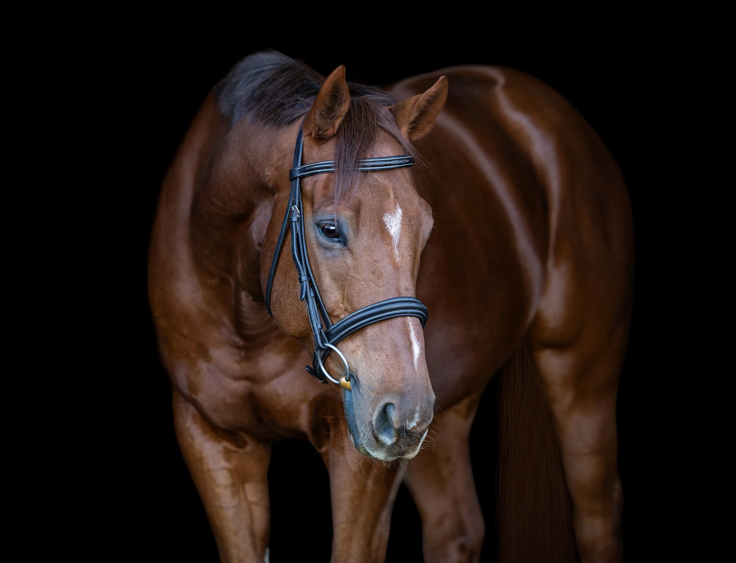 Canyon October 2025-3.jpg