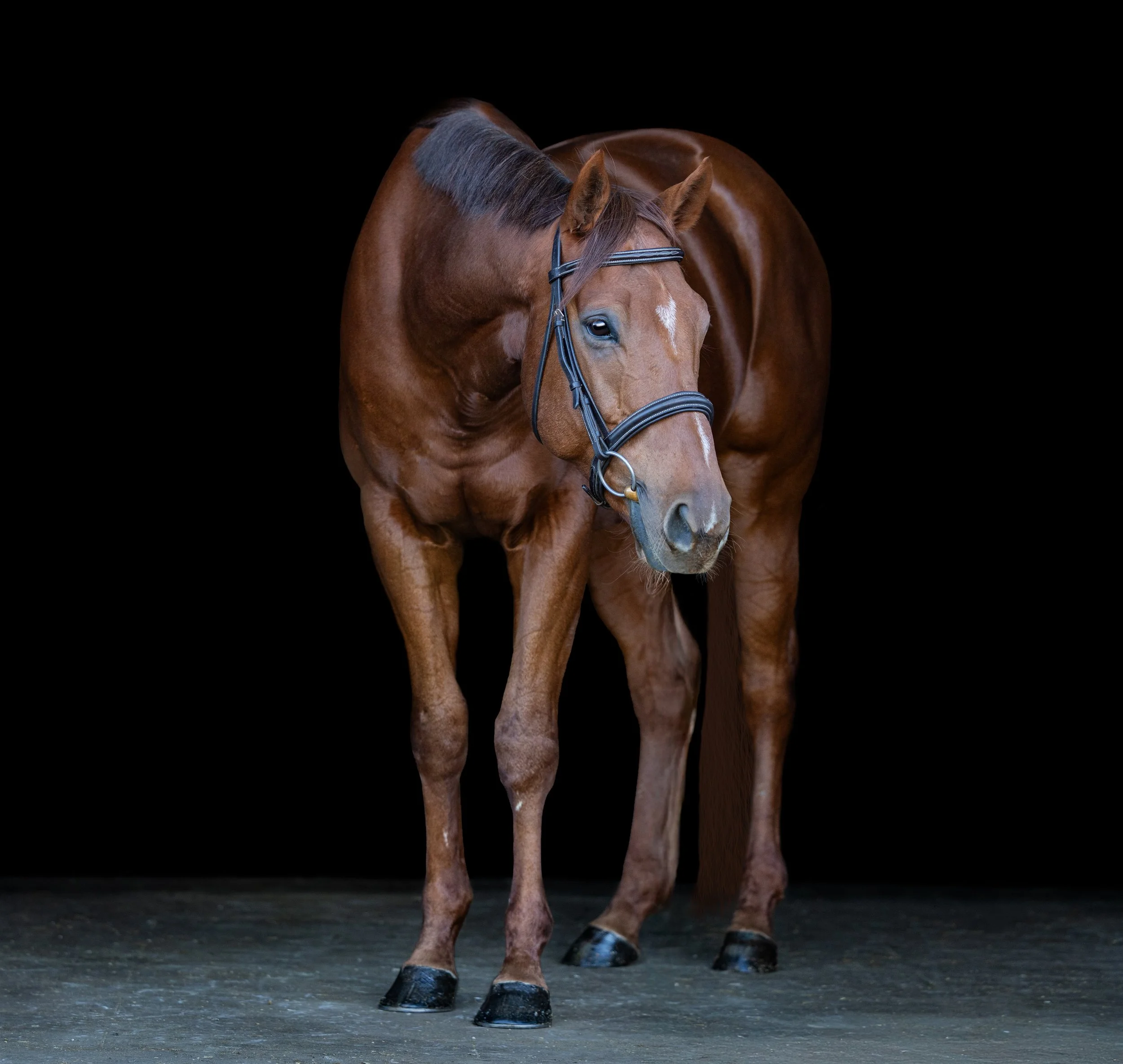 Canyon October 2025-4.jpg