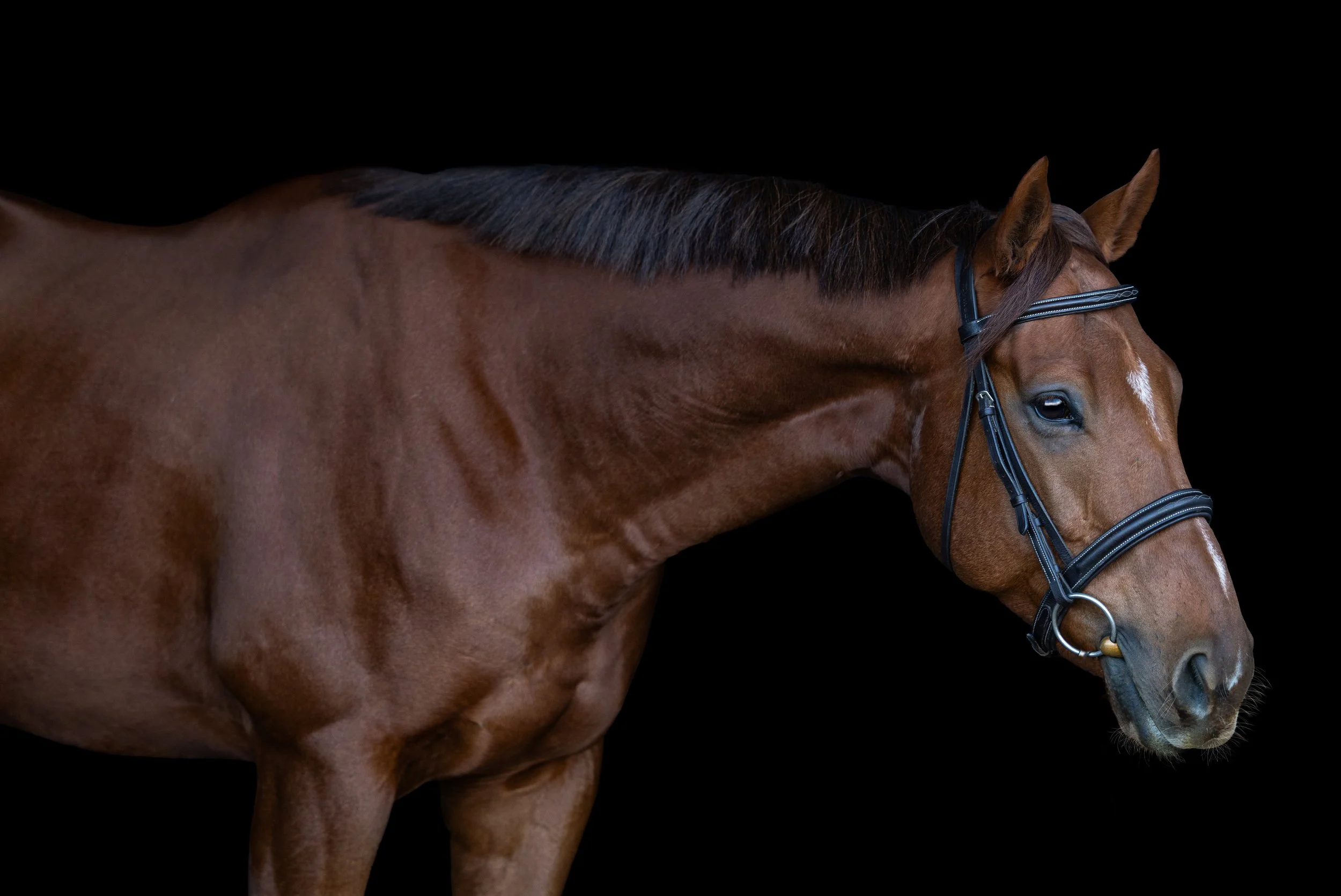 Canyon October 2025-6.jpg