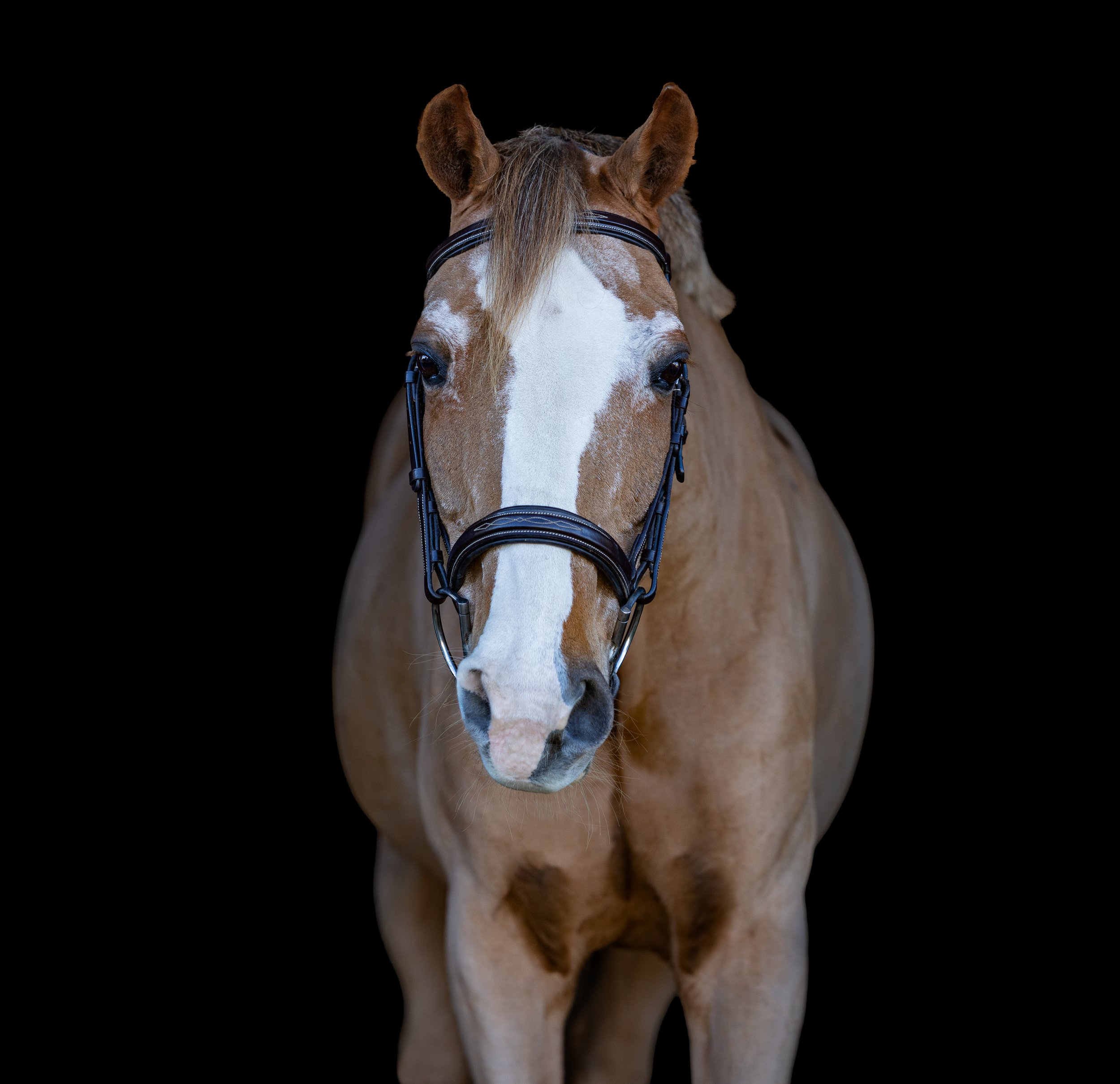 Logan November 2025-2.jpg