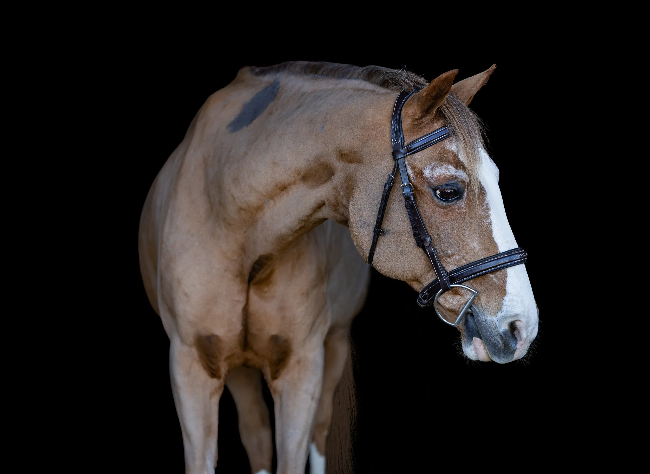 Logan November 2025-3.jpg