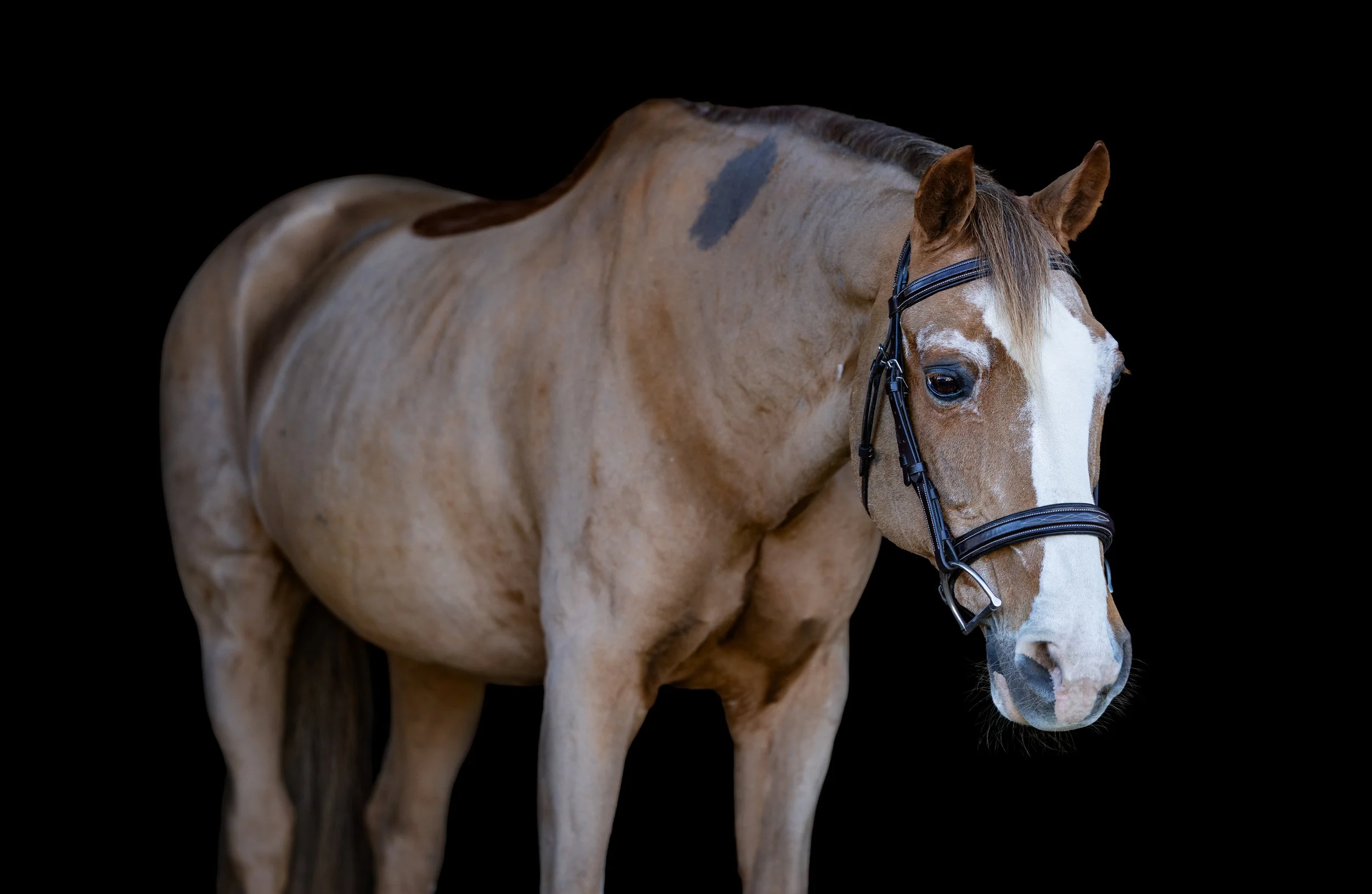 Logan November 2025-4.jpg