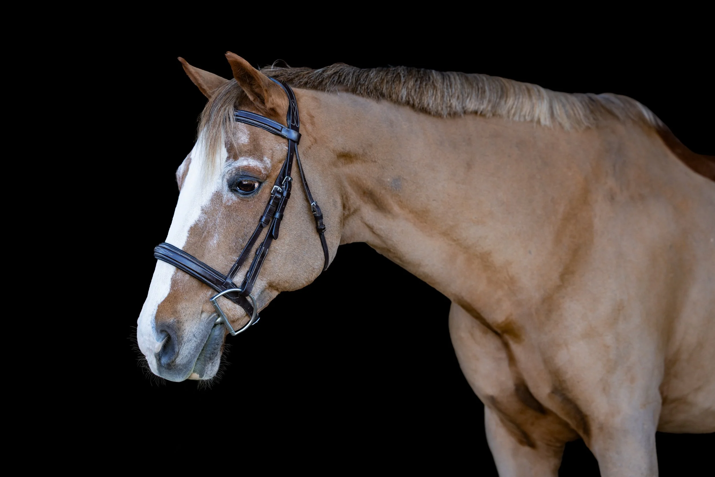 Logan November 2025-6.jpg