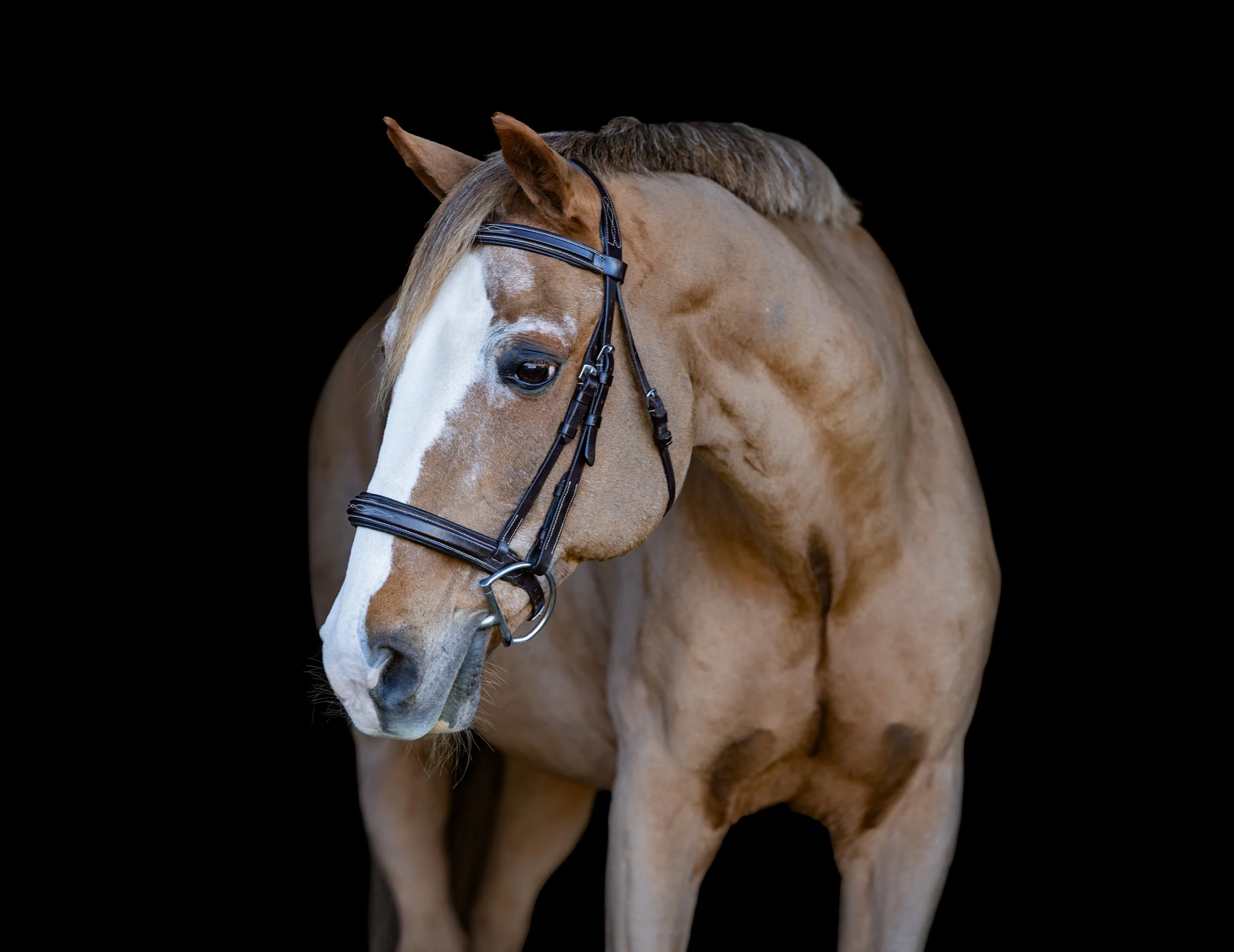 Logan’s Glamour Shots