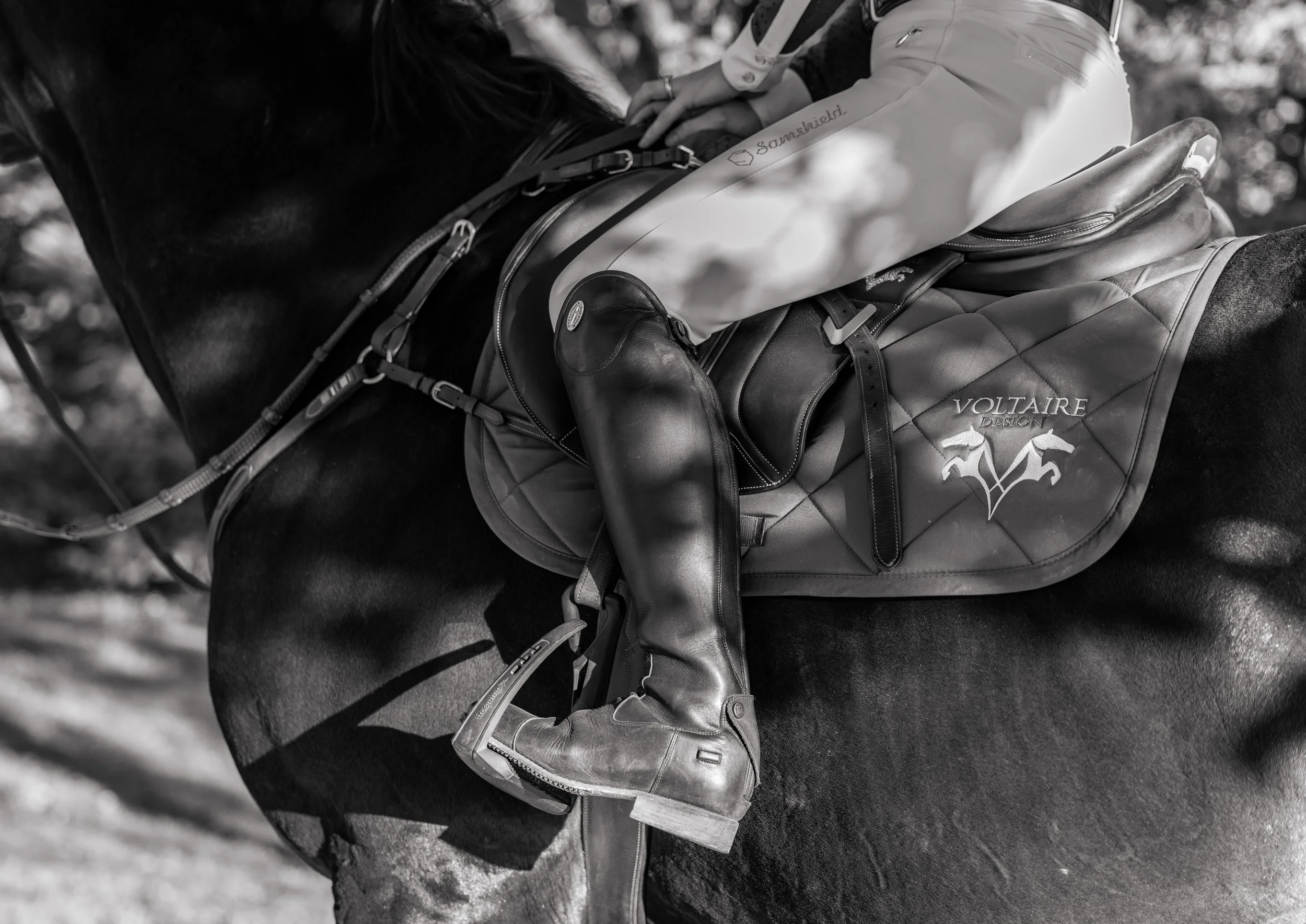 Alicia and Monty November 2025-34.jpg